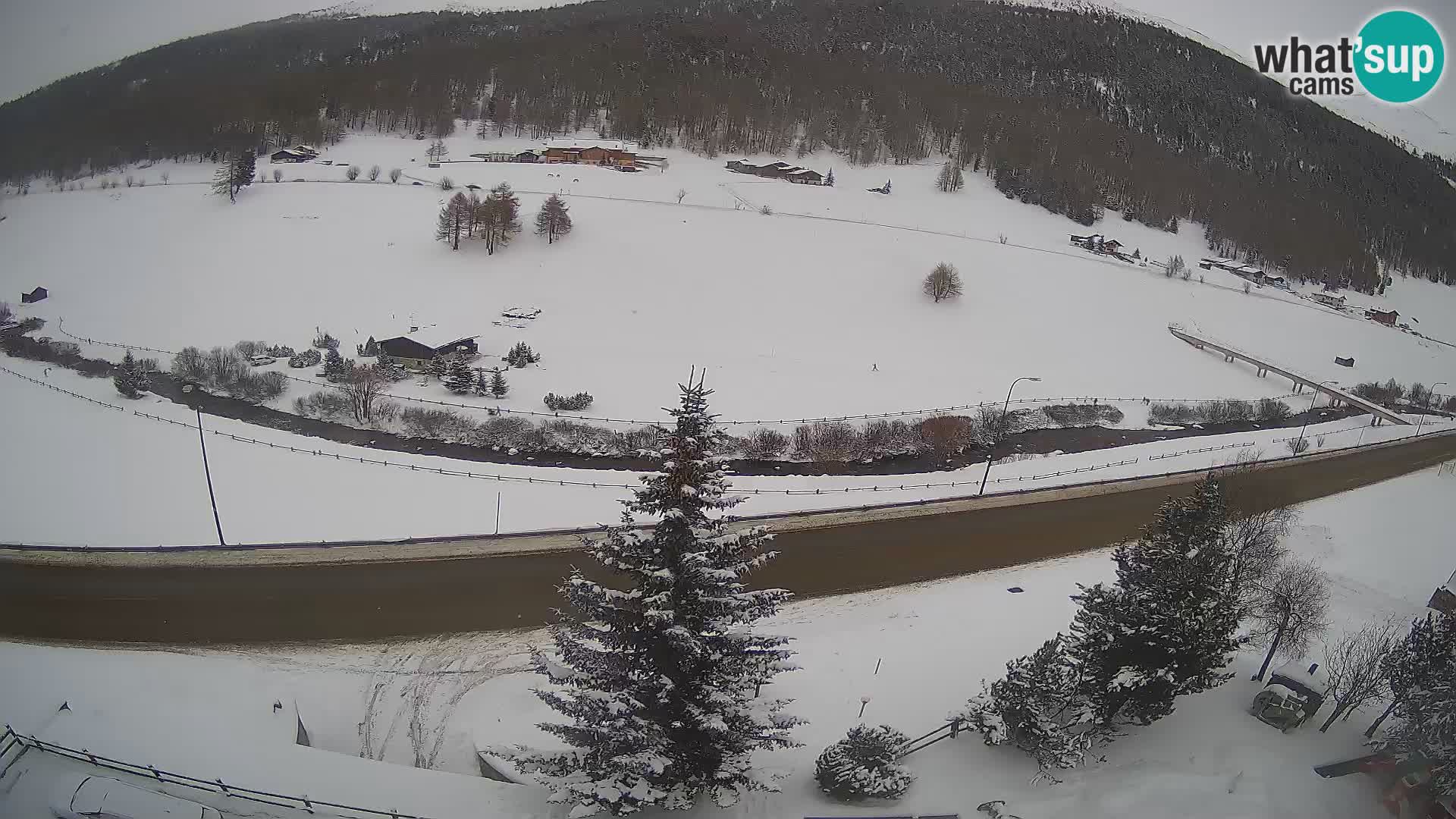 Livigno Hotel Primula webcam