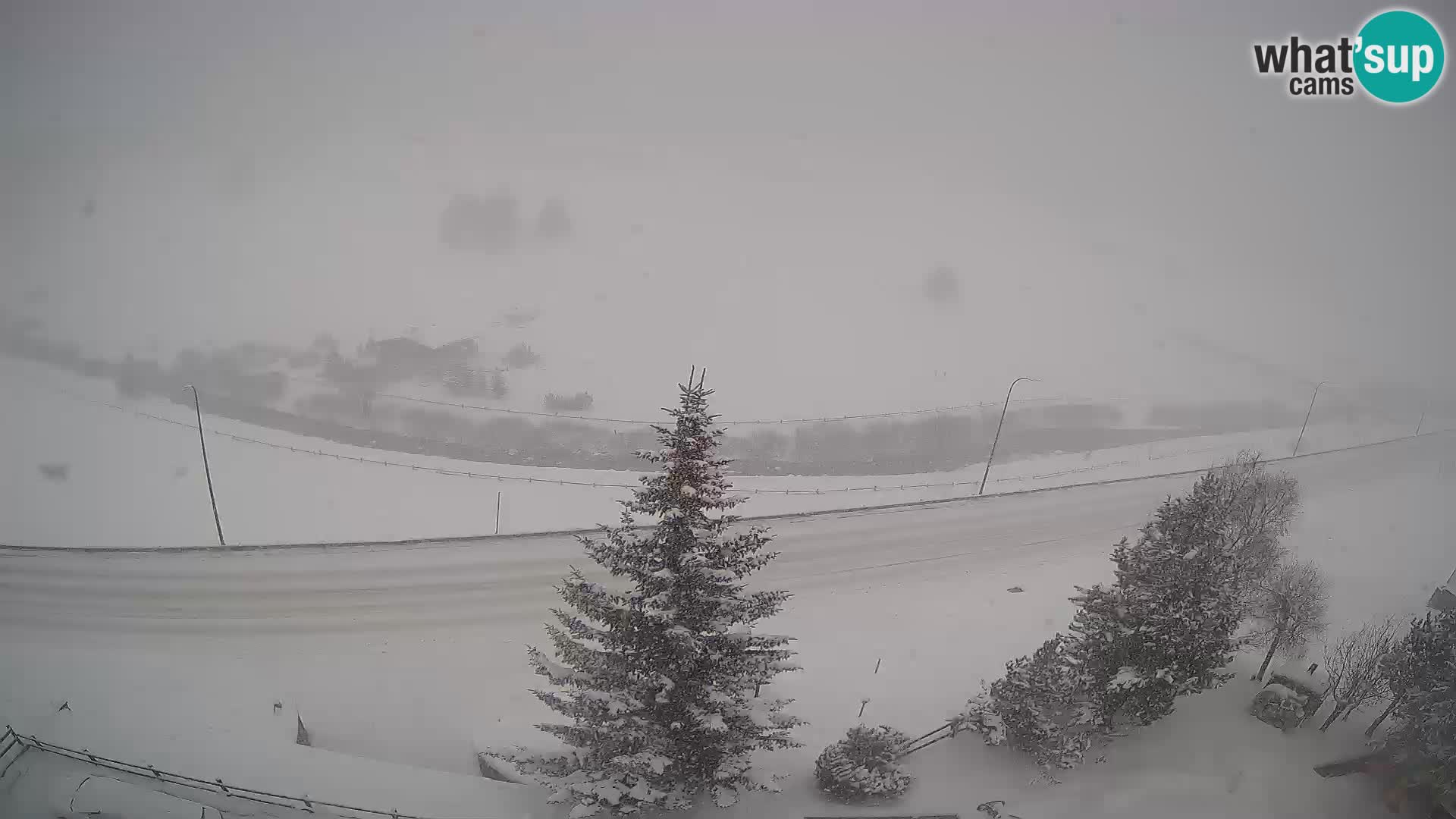 Webcam Livigno Hotel Primula