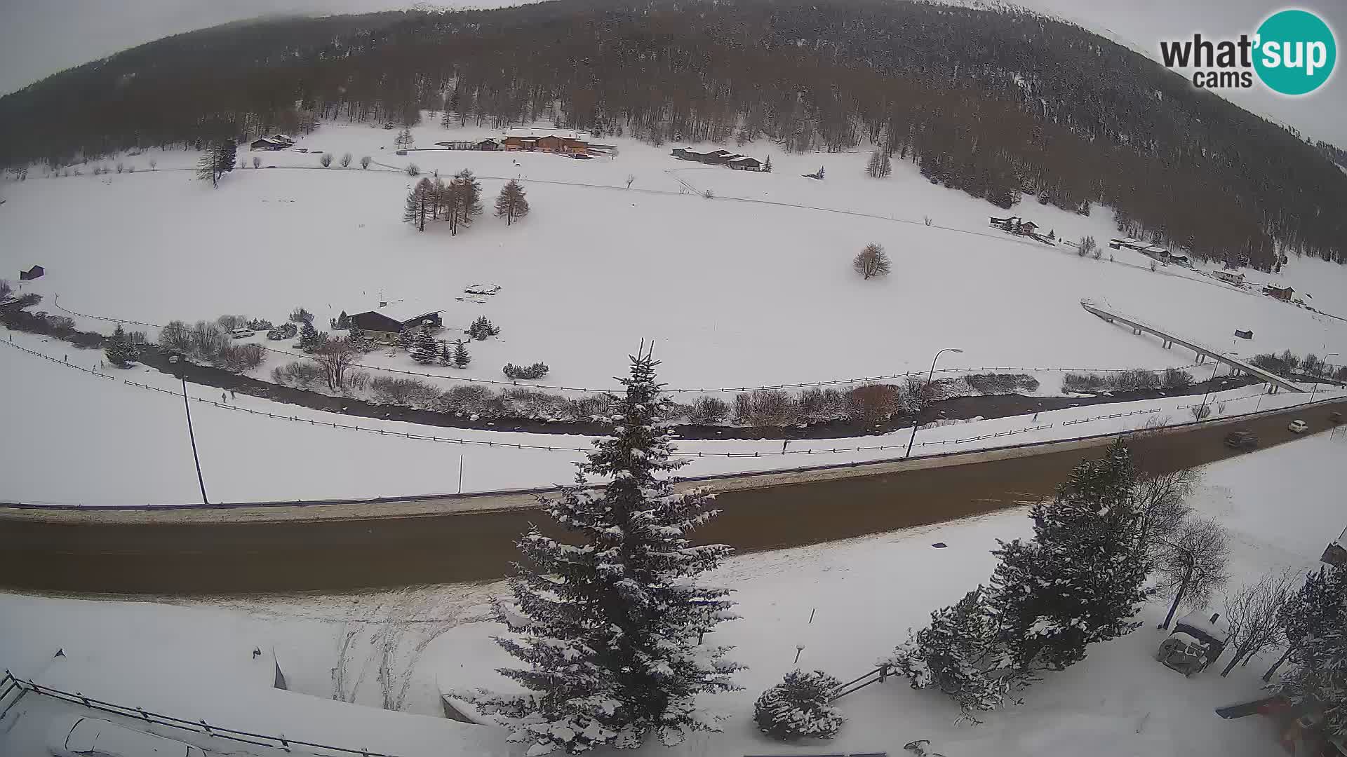 Webcam Livigno Hotel Primula