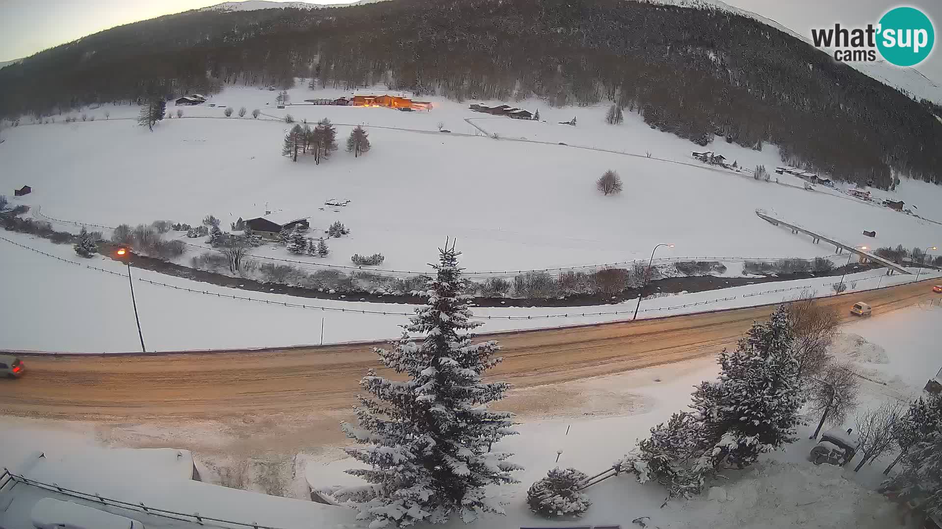 Webcam Livigno Hotel Primula