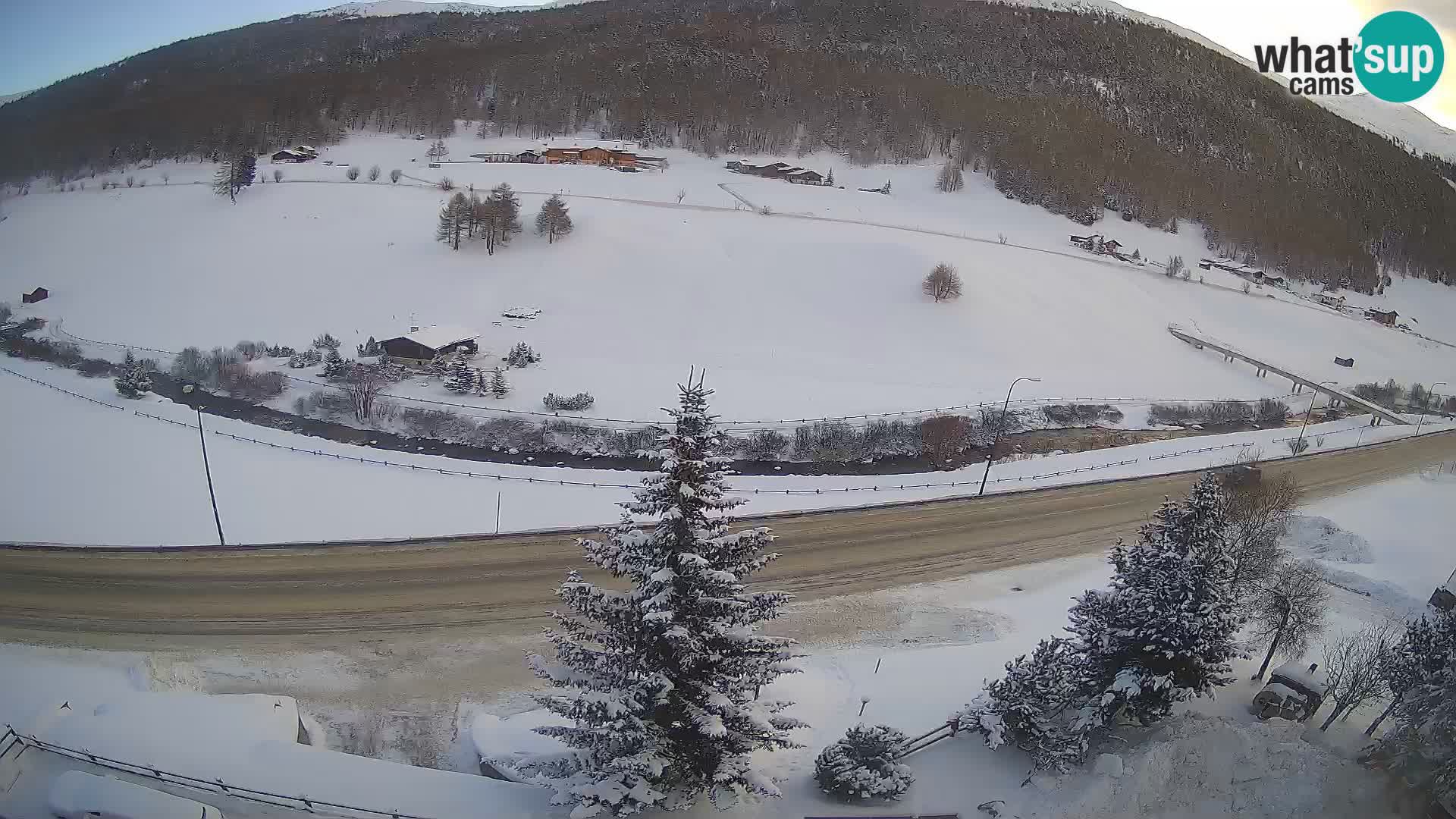 Webcam Livigno Hotel Primula