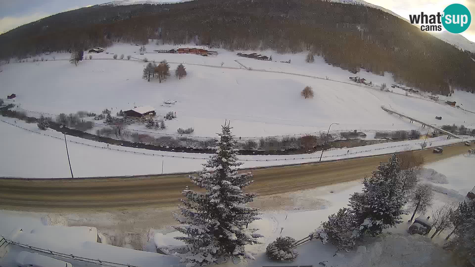 Livigno webcam LIVE Hotel Primula