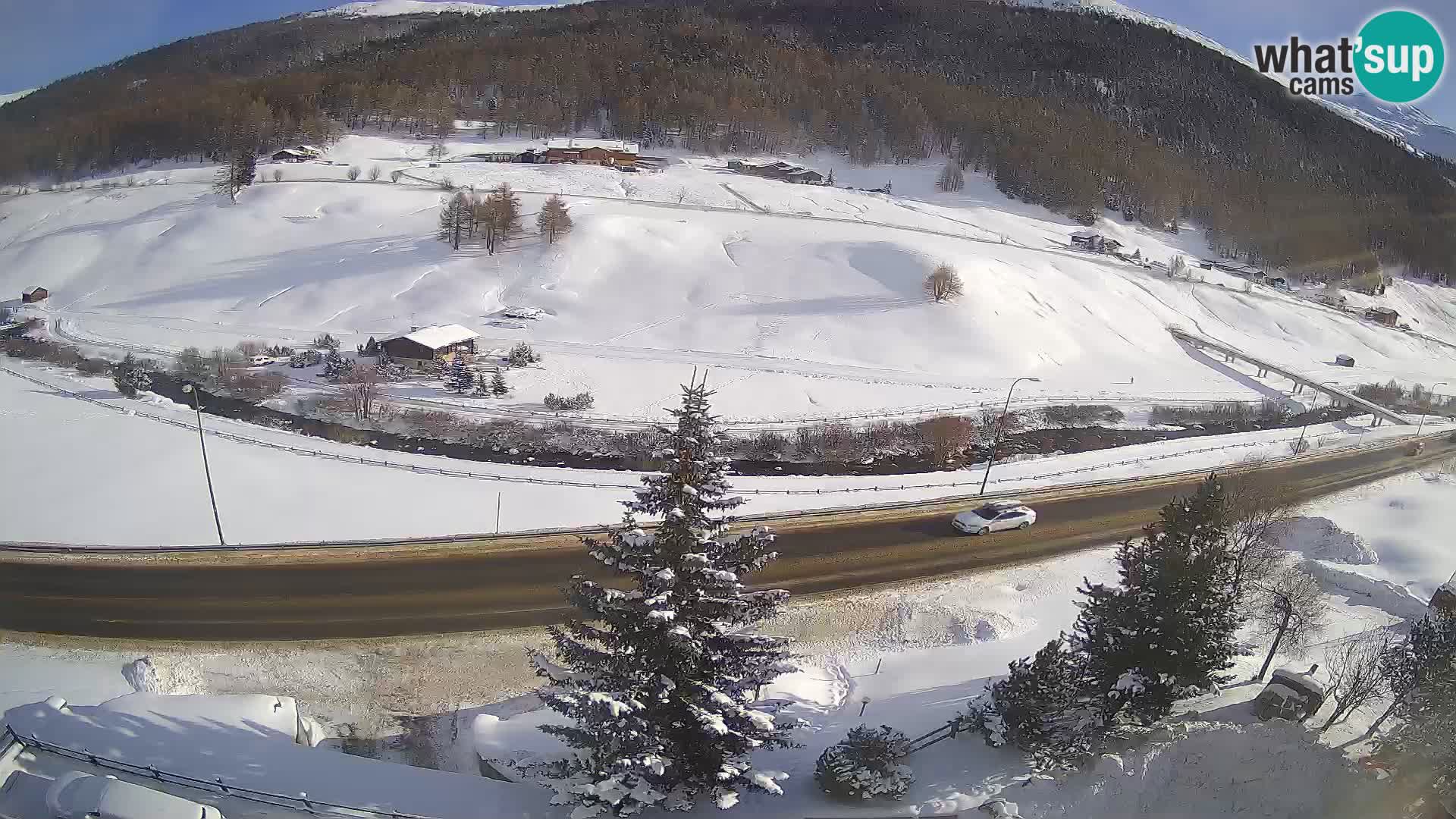 Webcam Livigno Hotel Primula