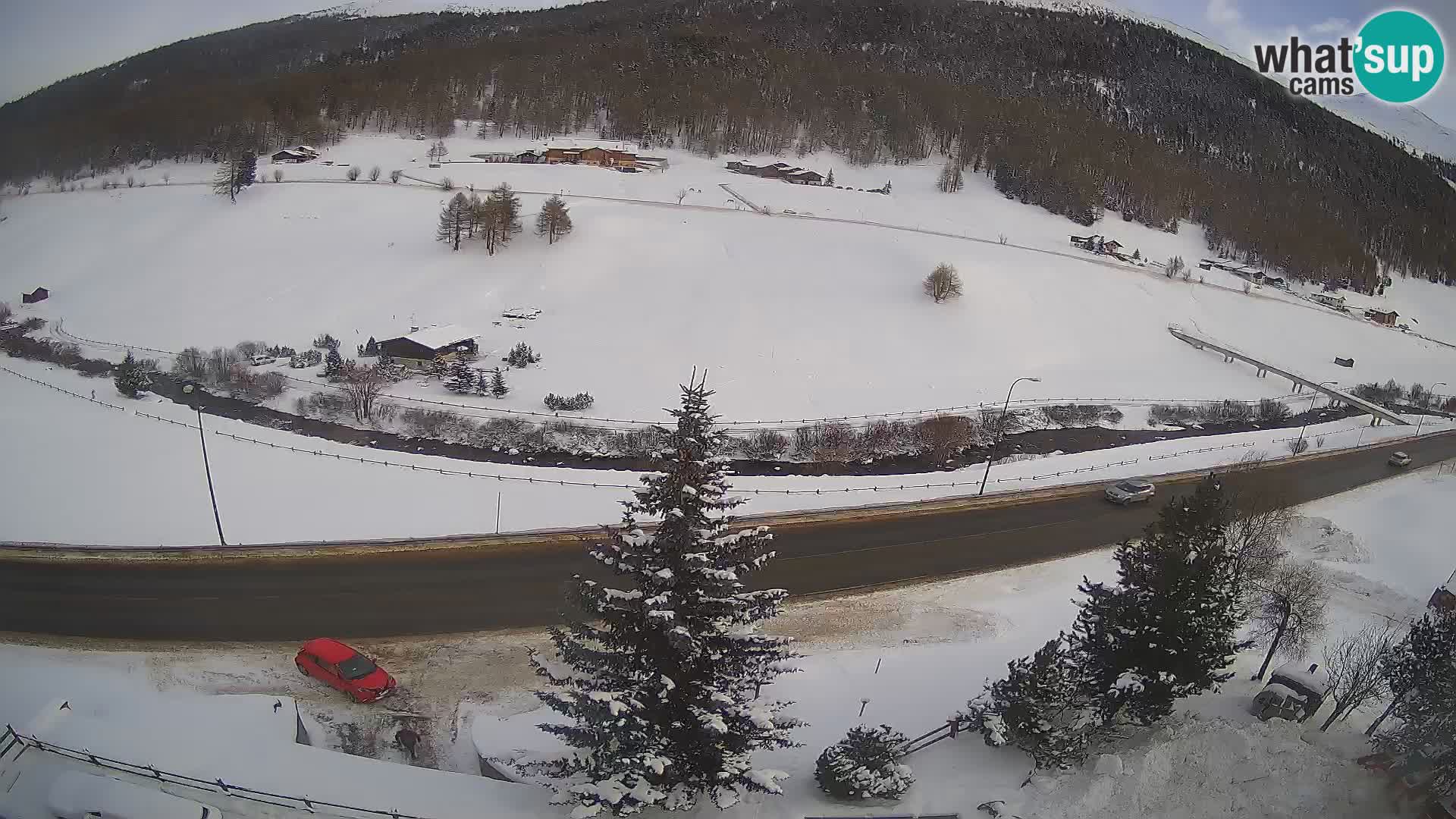 Livigno webcam LIVE Hotel Primula