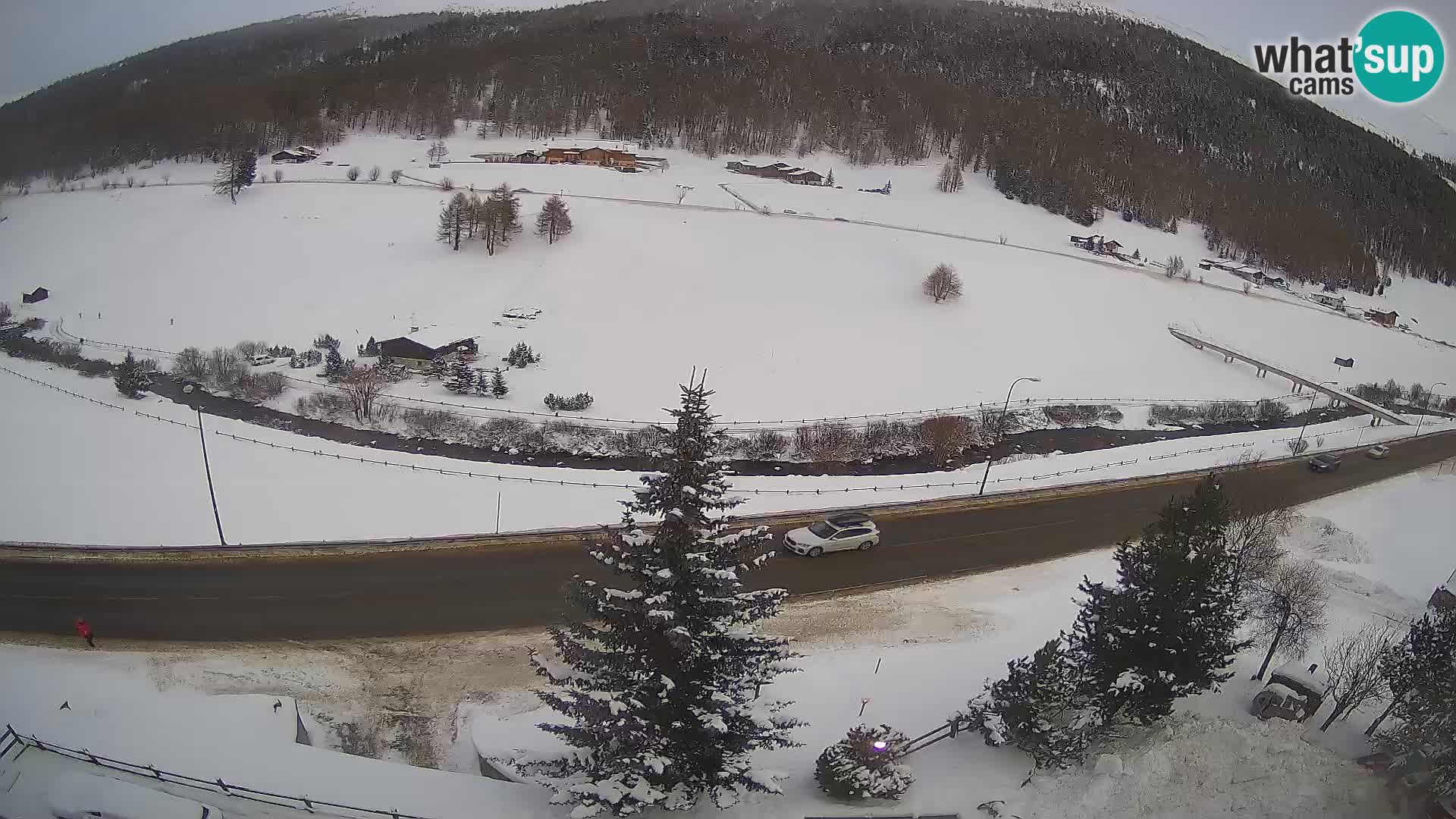 Webcam Livigno Hotel Primula