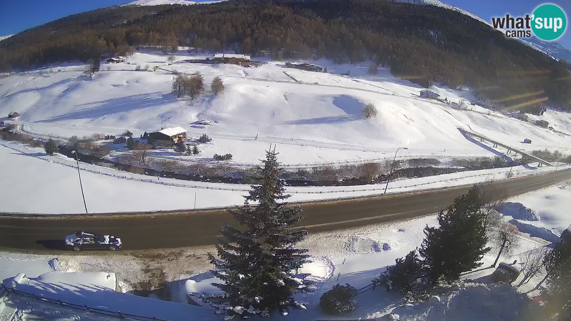 Webcam Livigno Hotel Primula