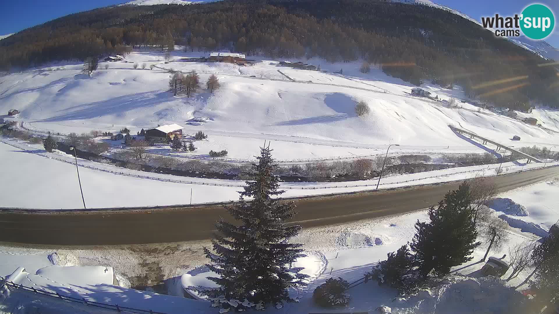 Livigno Cam Hotel Primula | Livigno smučišče