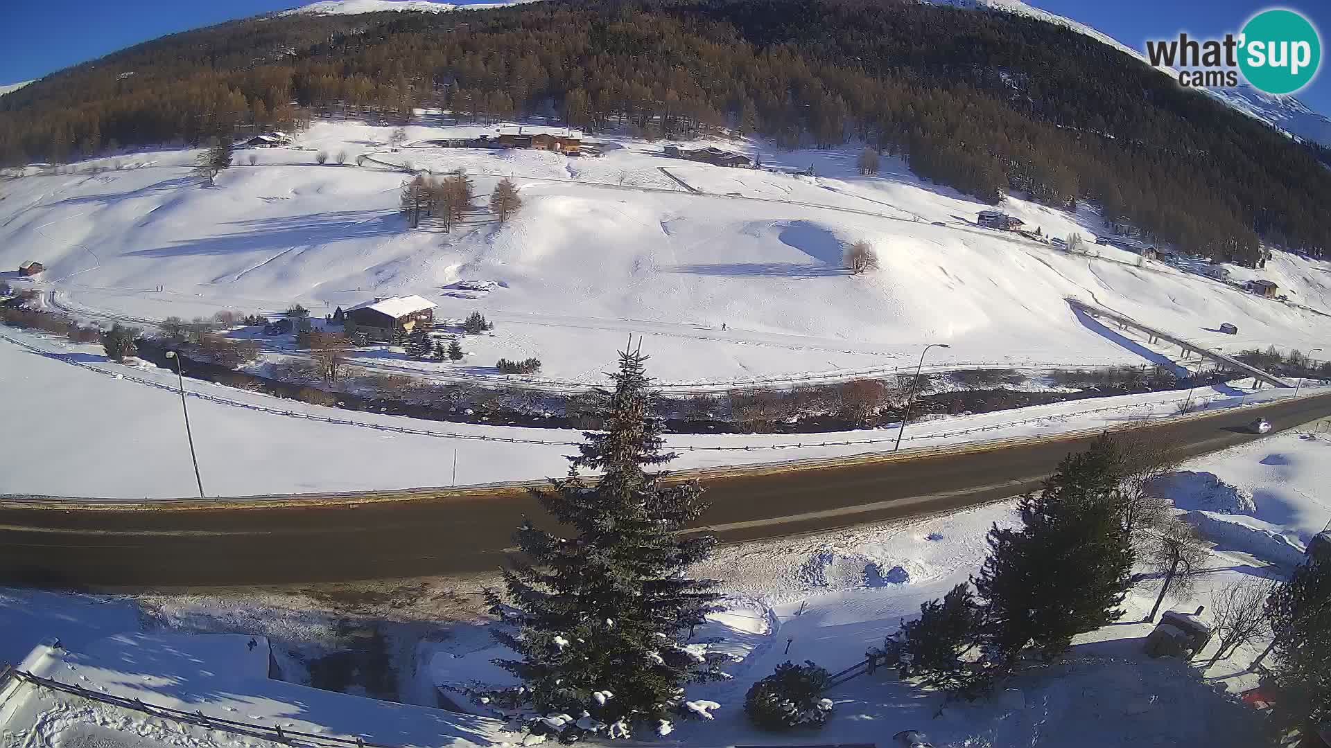 Webcam Livigno Hotel Primula