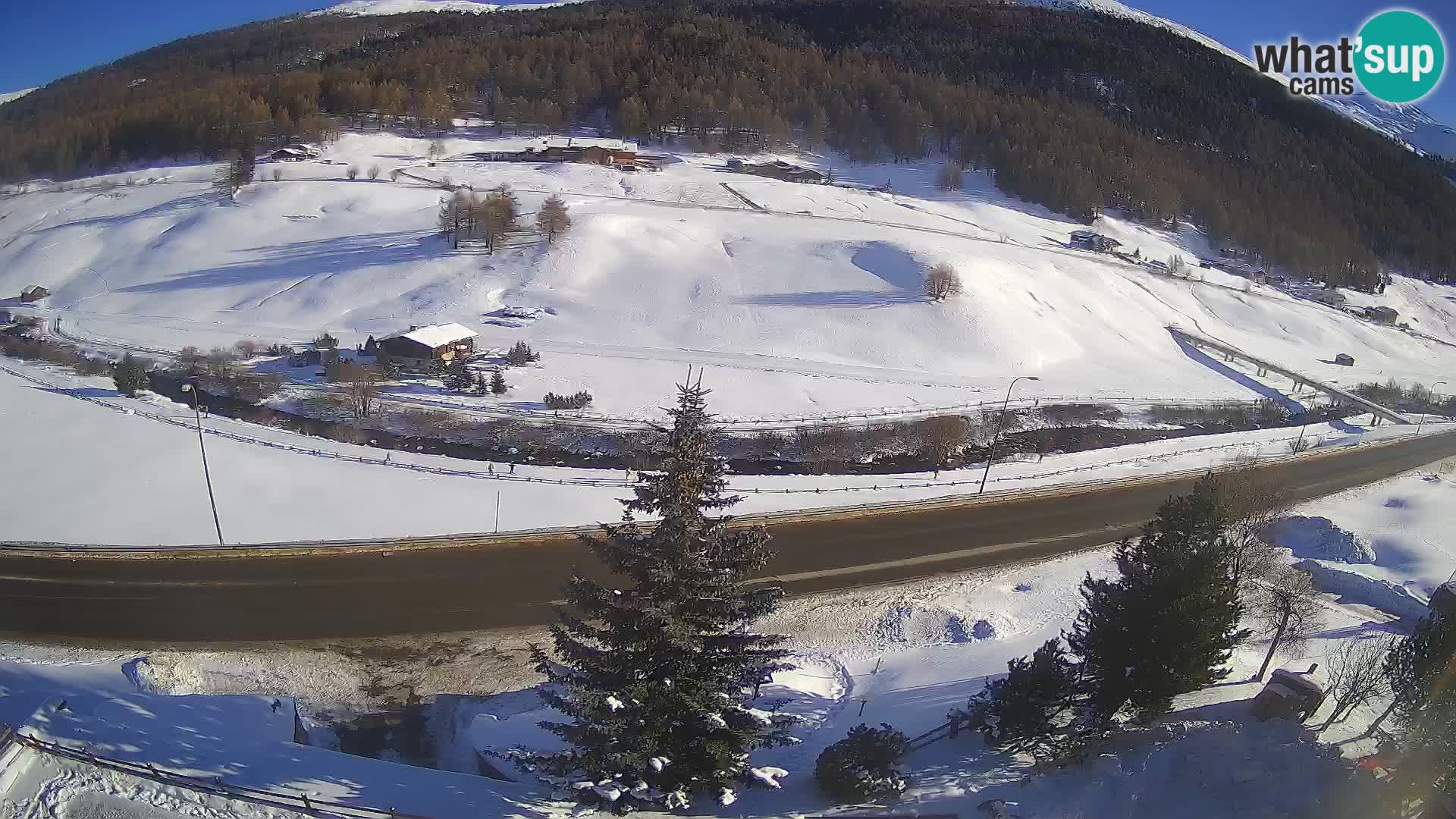 Livigno webcam LIVE Hotel Primula