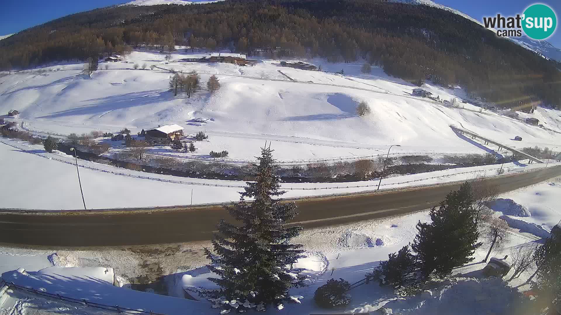 Livigno webcam LIVE Hotel Primula