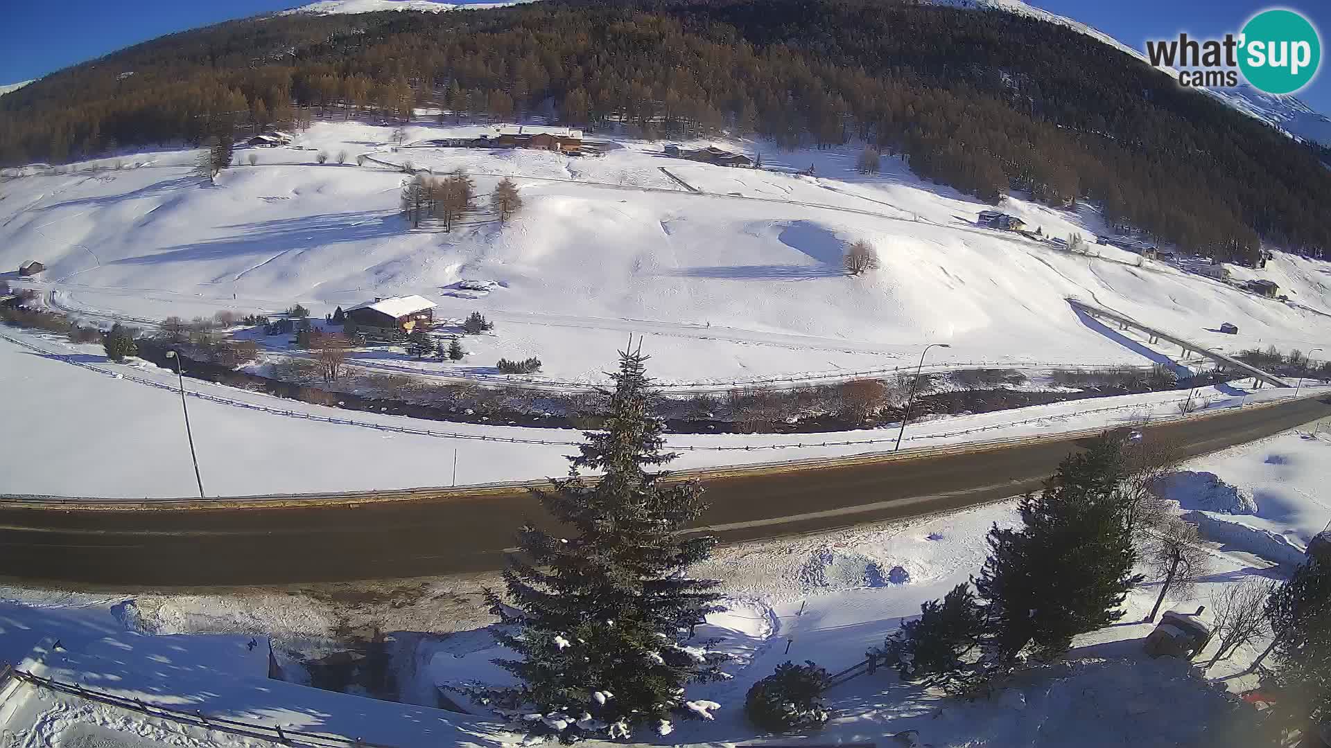 Livigno webcam LIVE Hotel Primula