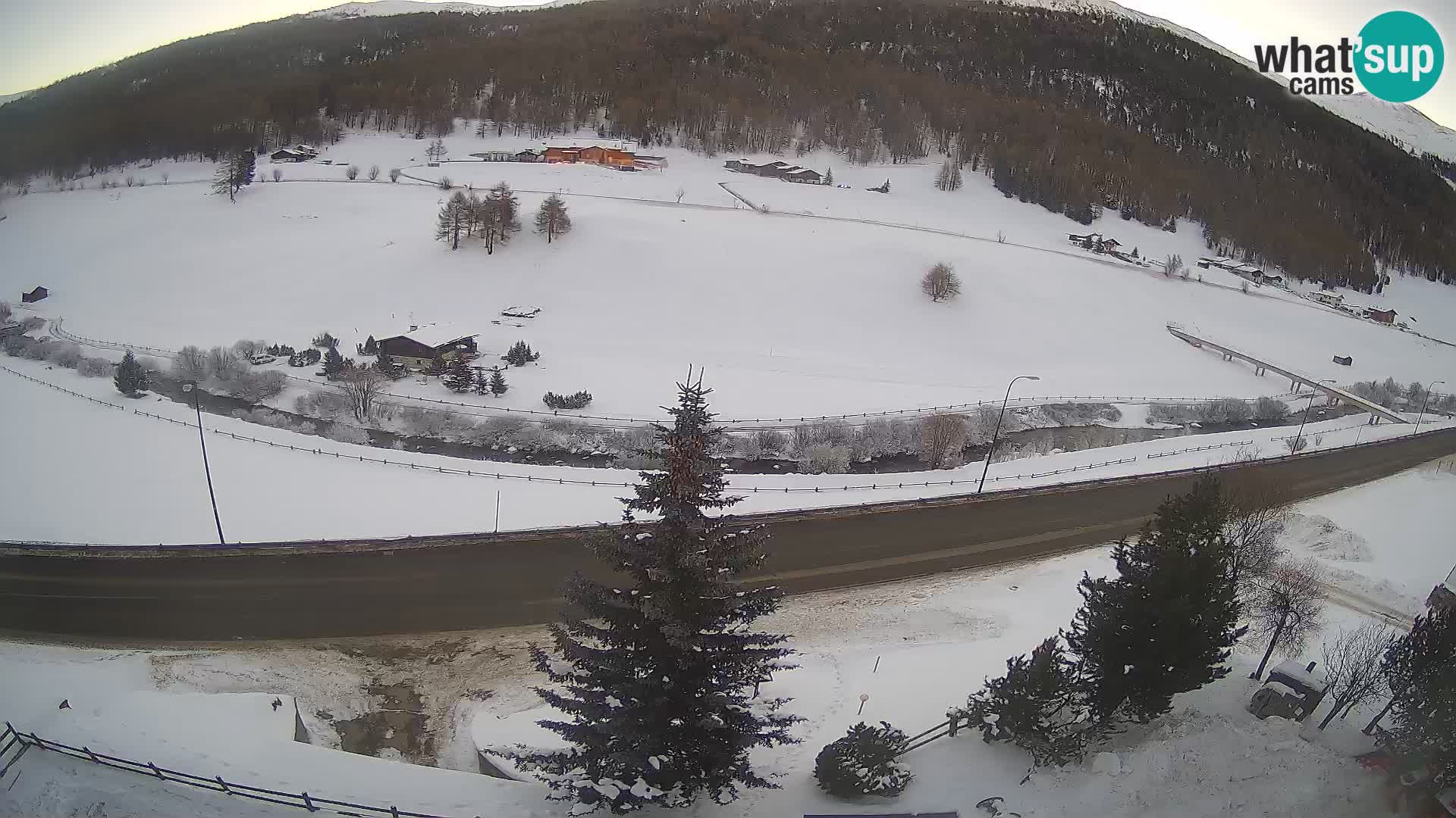 Webcam Livigno Hotel Primula