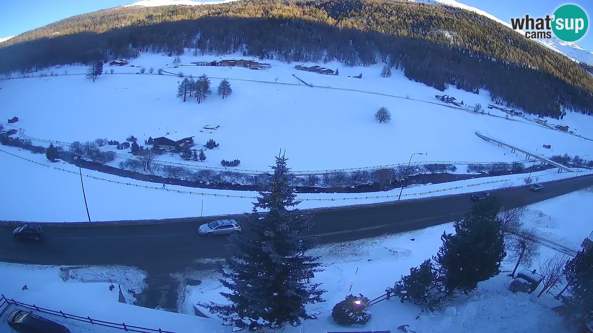 Livigno webcam LIVE Hotel Primula