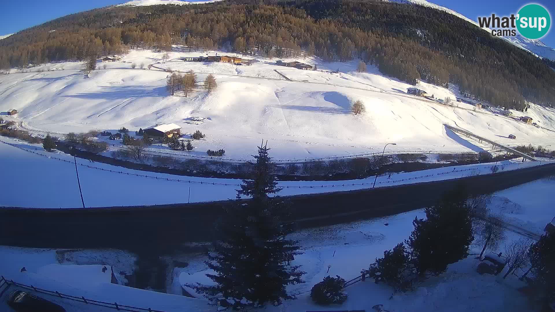 Livigno webcam LIVE Hotel Primula