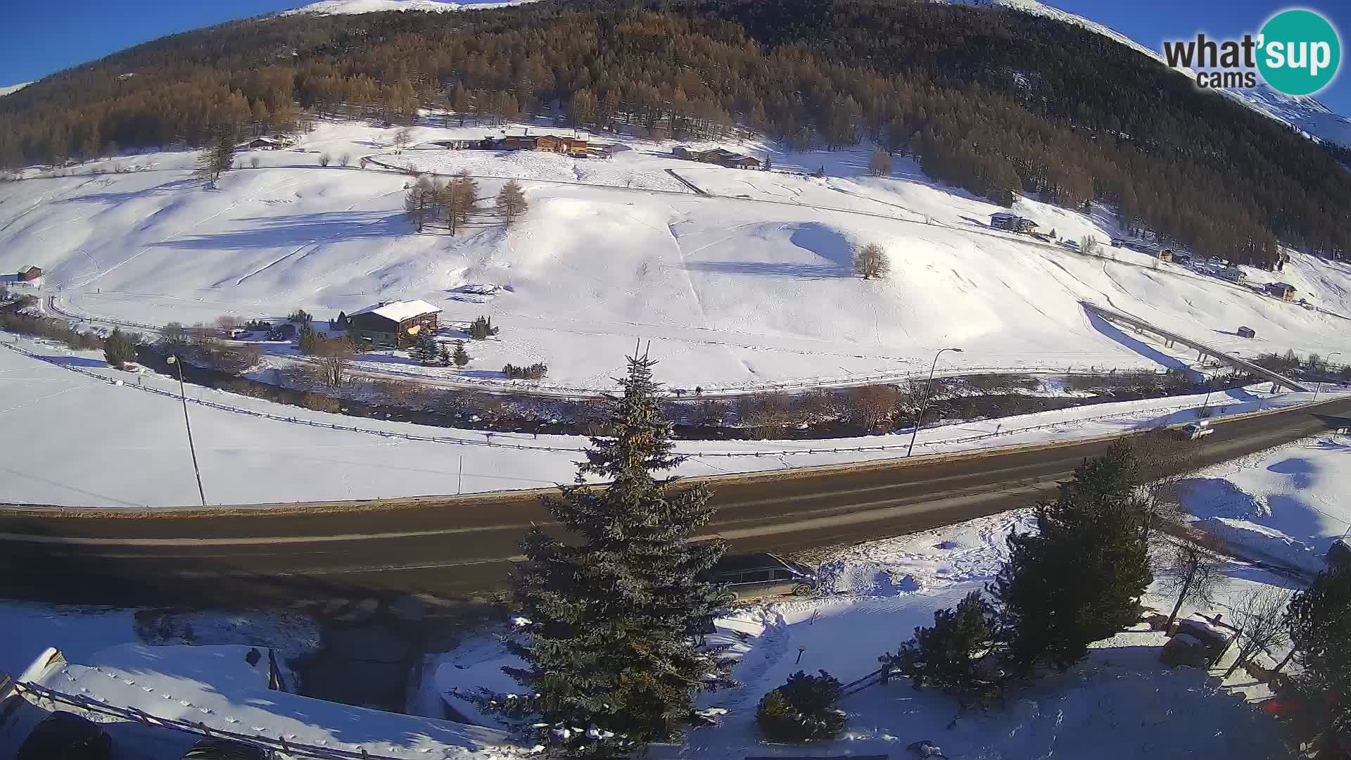 Web Cam Livigno | Hotel Primula