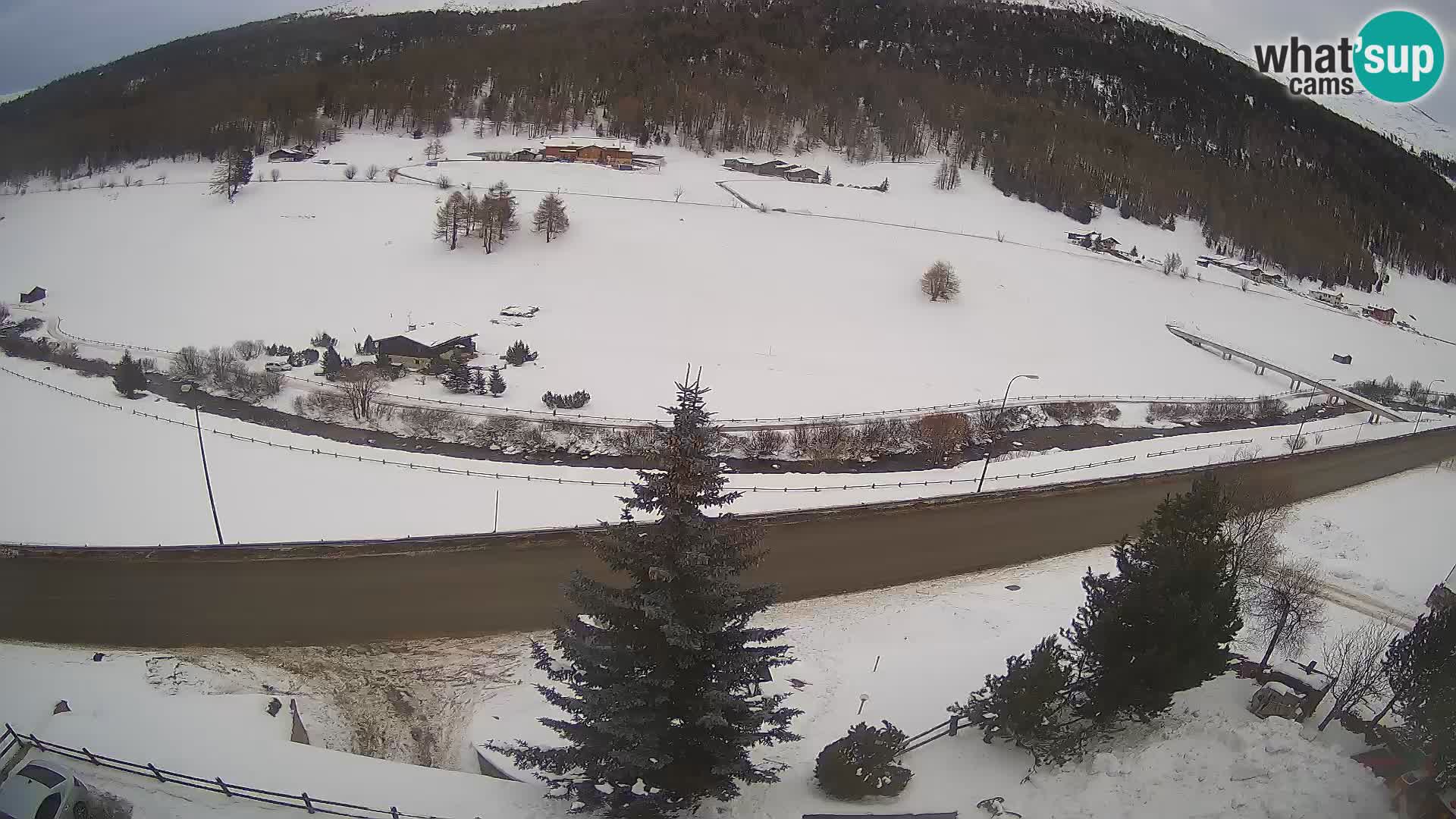 Webcam Livigno Hotel Primula