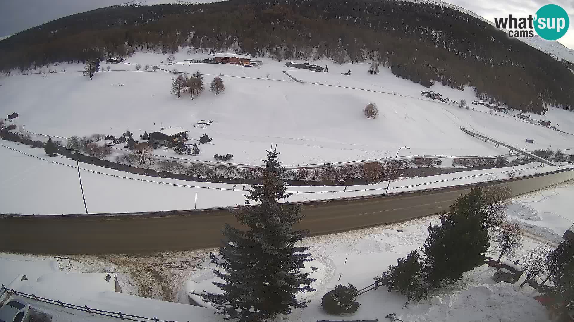 Webcam Livigno Hotel Primula