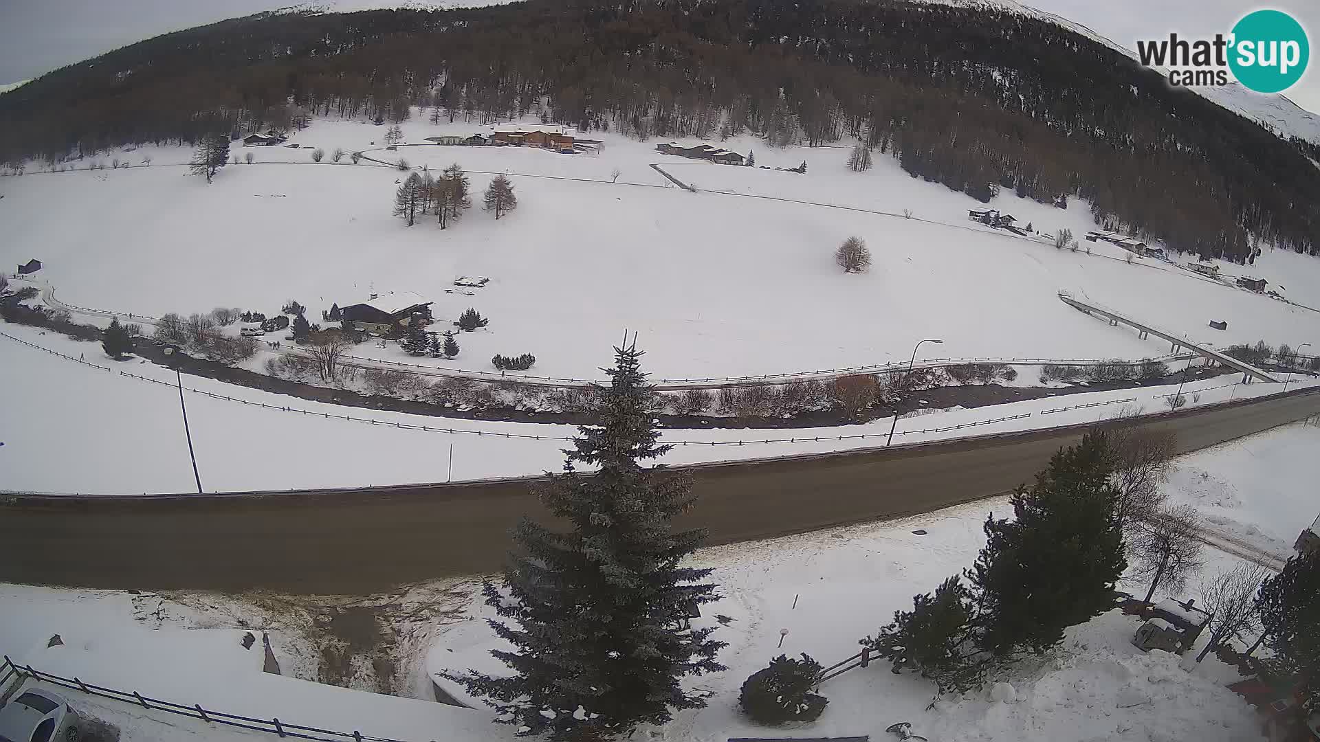 Webcam Livigno Hotel Primula