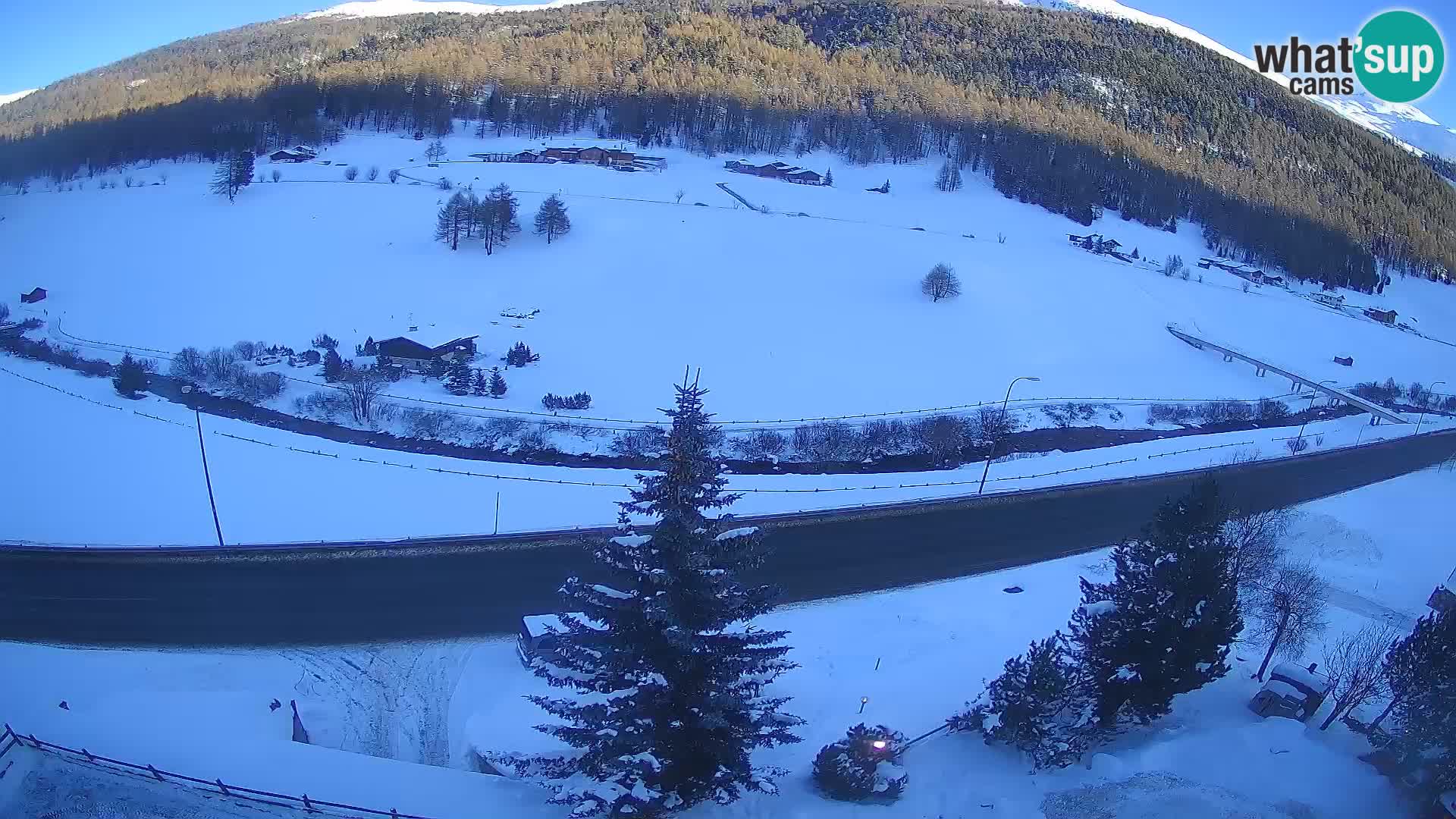 Livigno webcam LIVE Hotel Primula