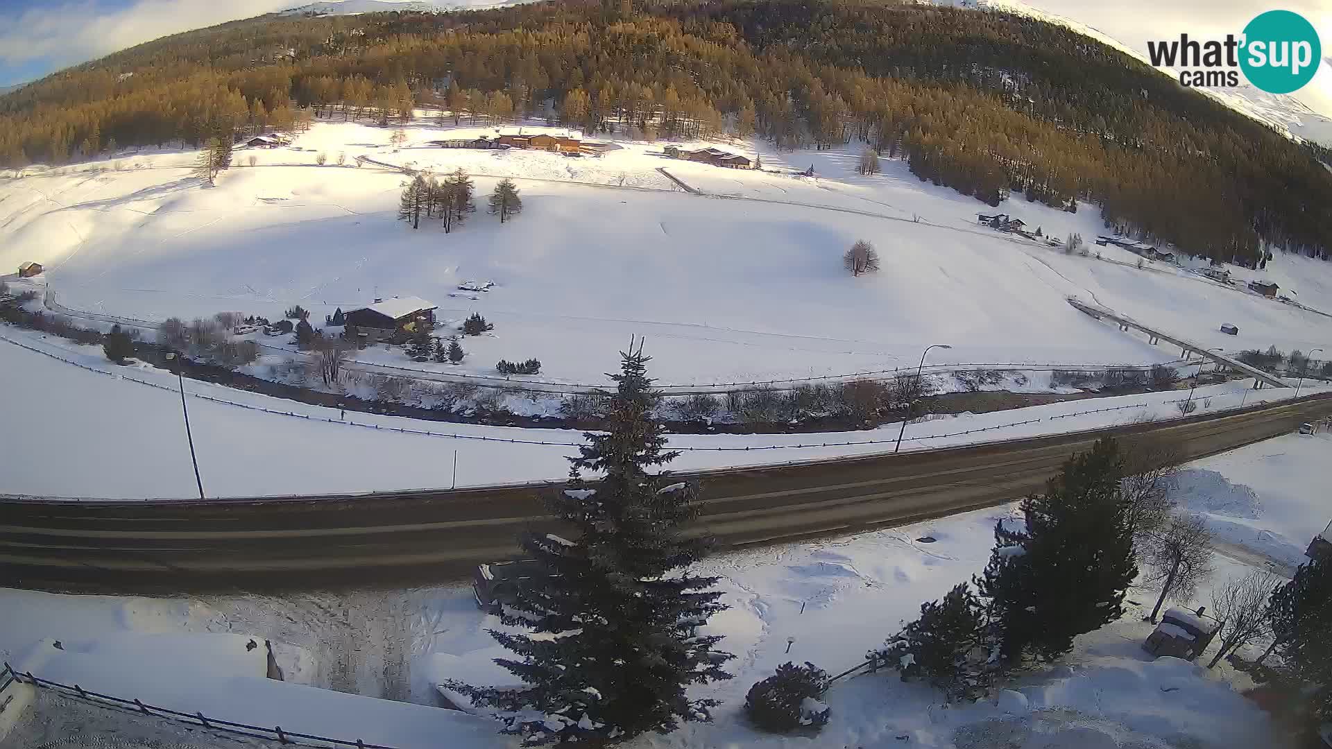 Livigno webcam LIVE Hotel Primula