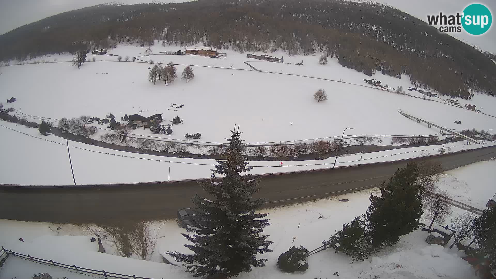 Livigno webcam LIVE Hotel Primula