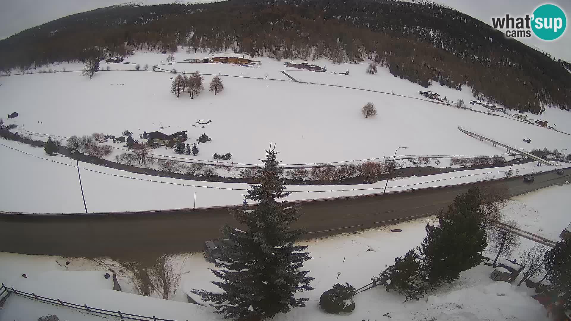 Web Cam Livigno | Hotel Primula