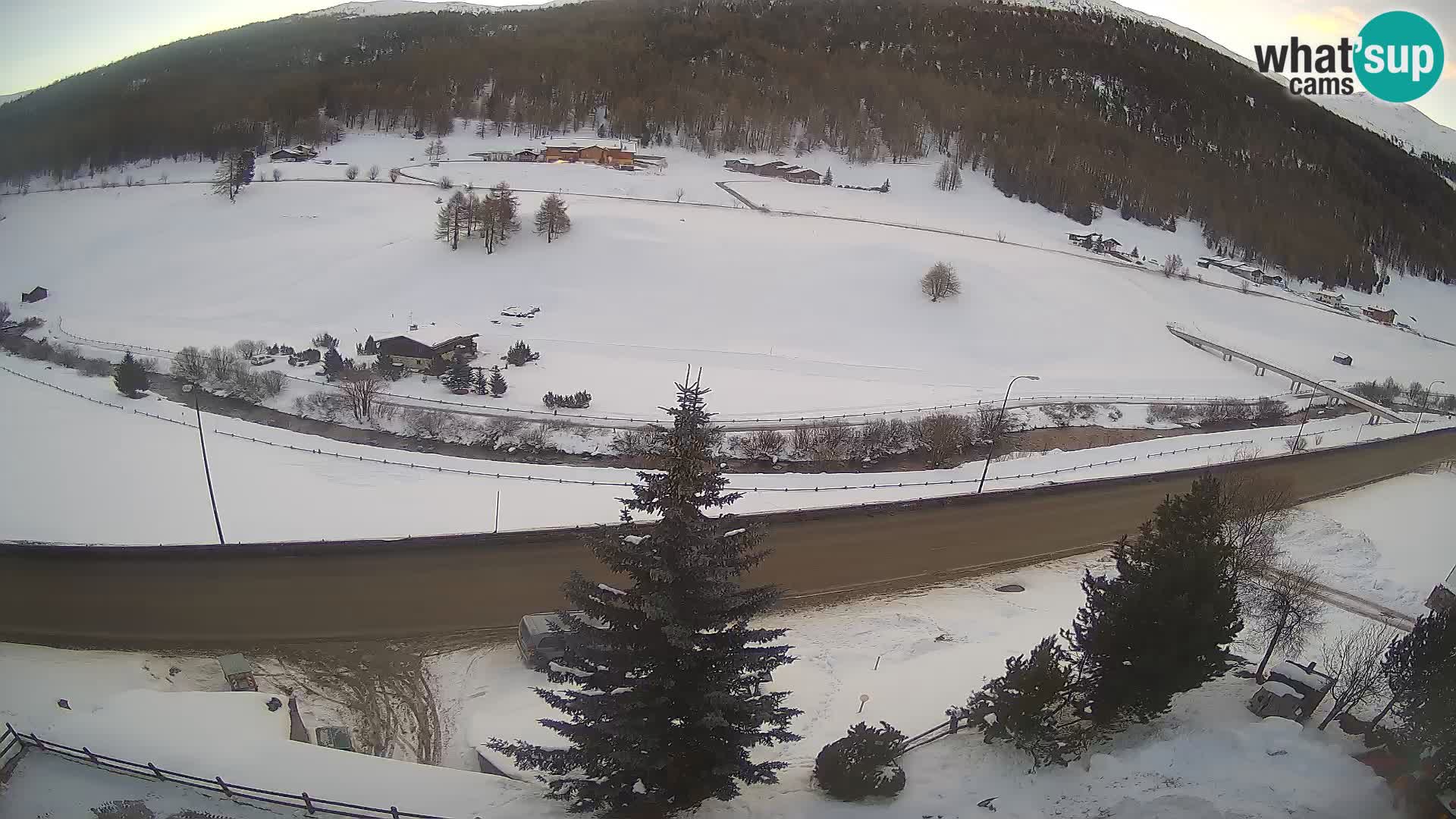 Livigno webcam LIVE Hotel Primula