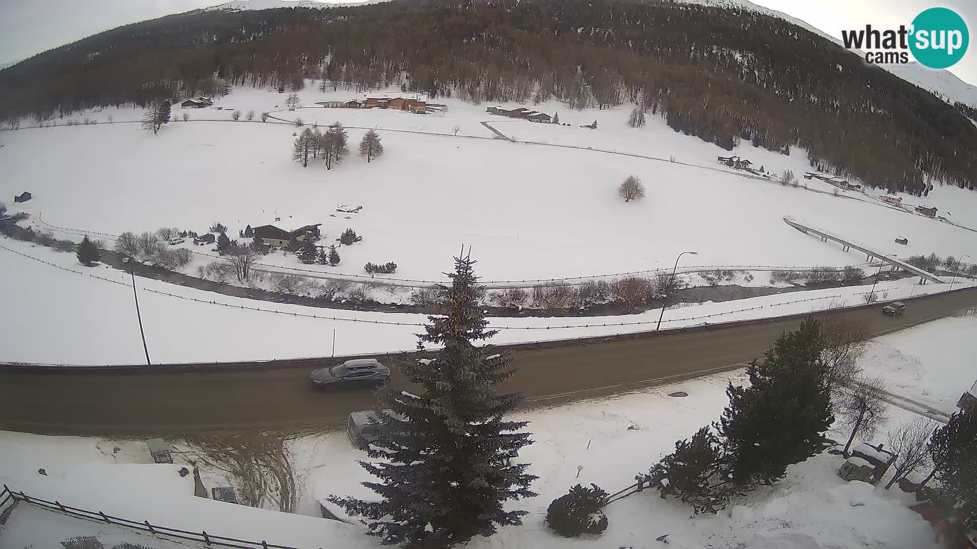 Livigno webcam LIVE Hotel Primula