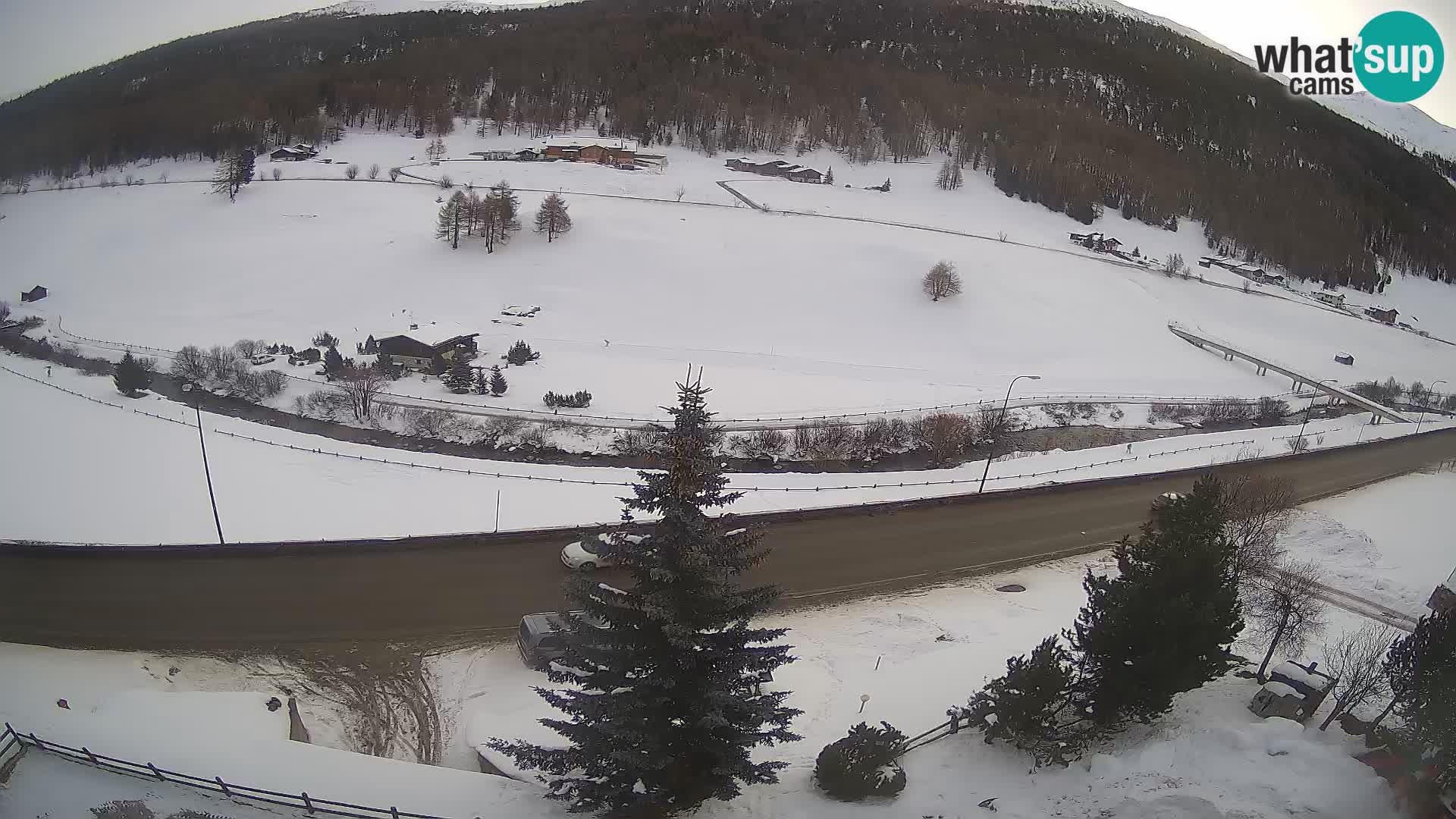 Webcam Livigno Hotel Primula