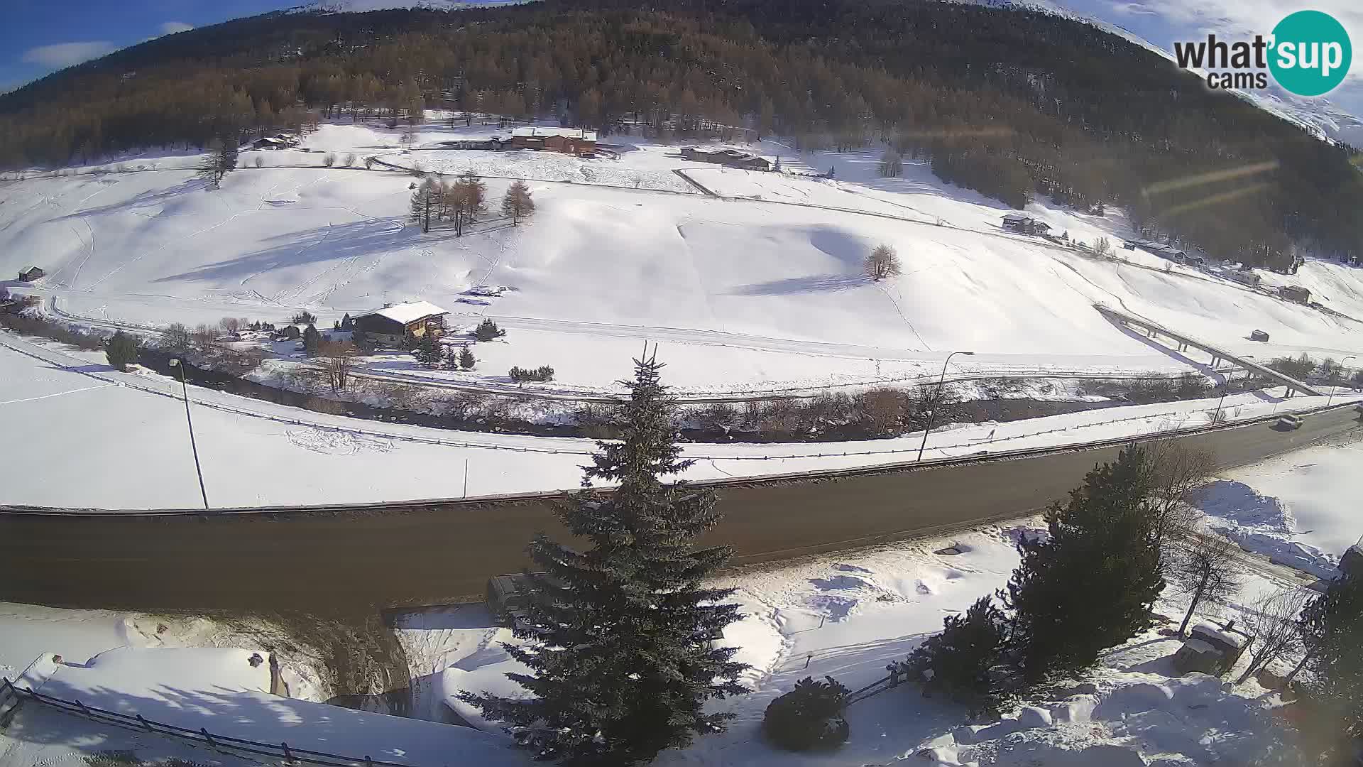 Web Cam Livigno | Hotel Primula