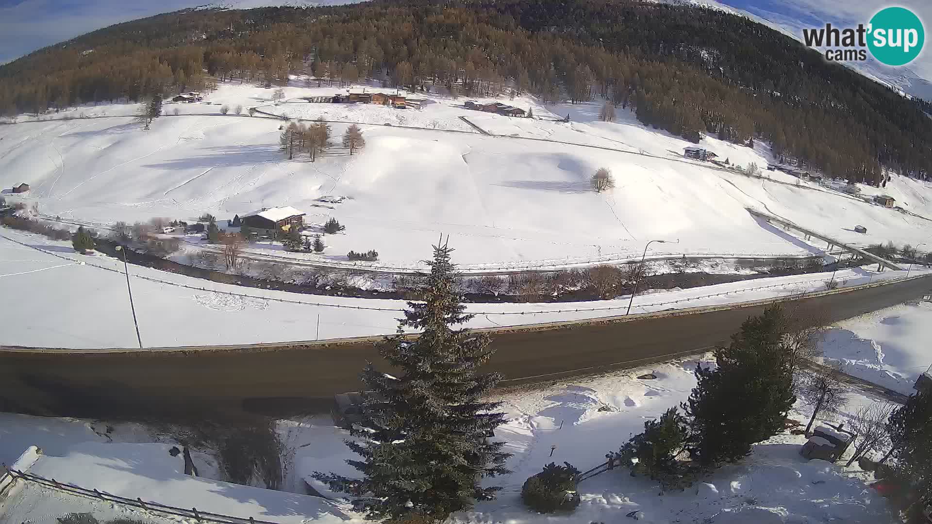 Web Cam Livigno | Hotel Primula