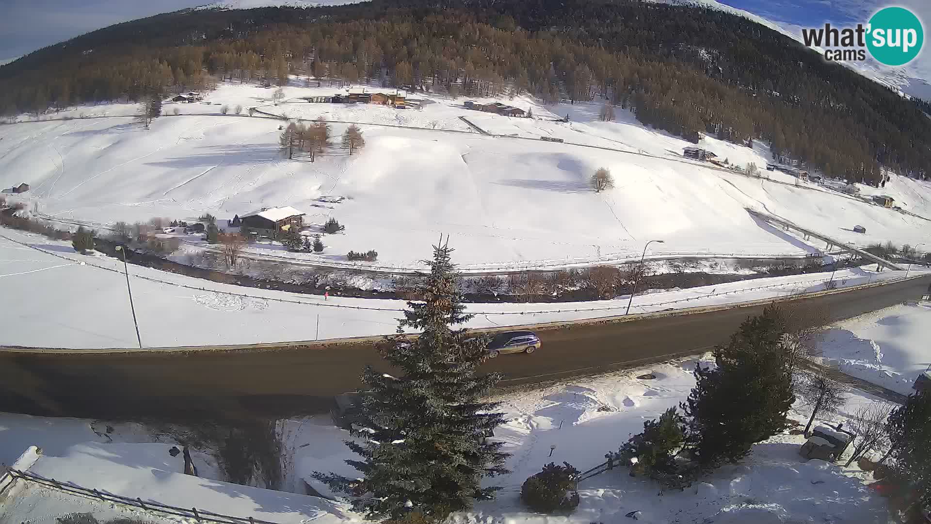 Livigno Cam Hotel Primula | Livigno smučišče