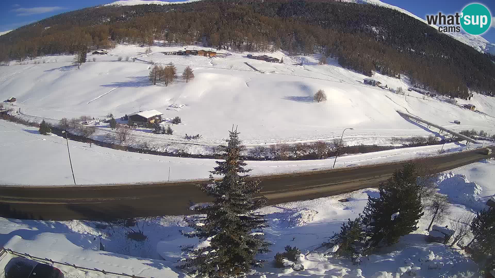 Livigno webcam LIVE Hotel Primula