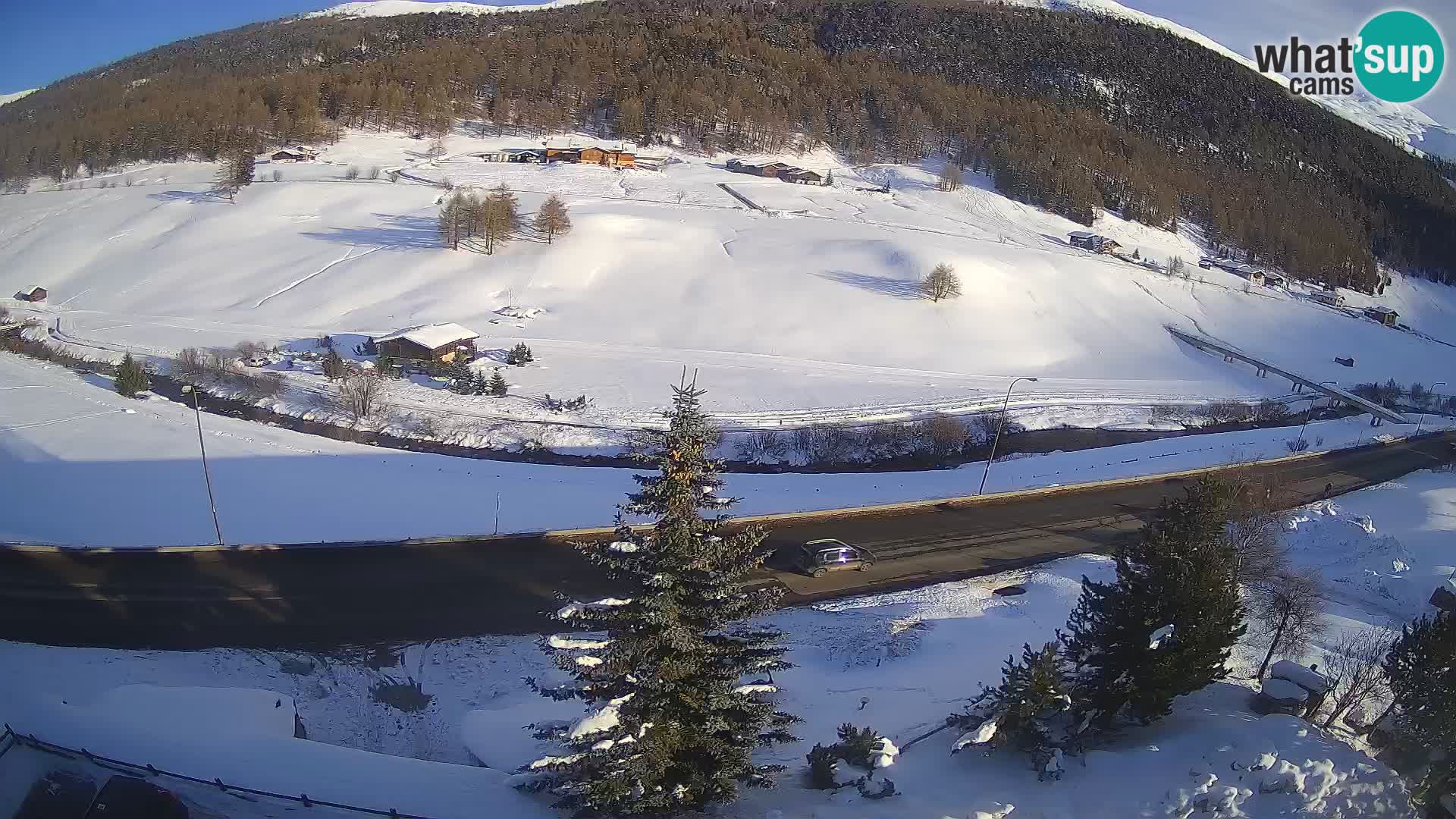 Livigno webcam LIVE Hotel Primula