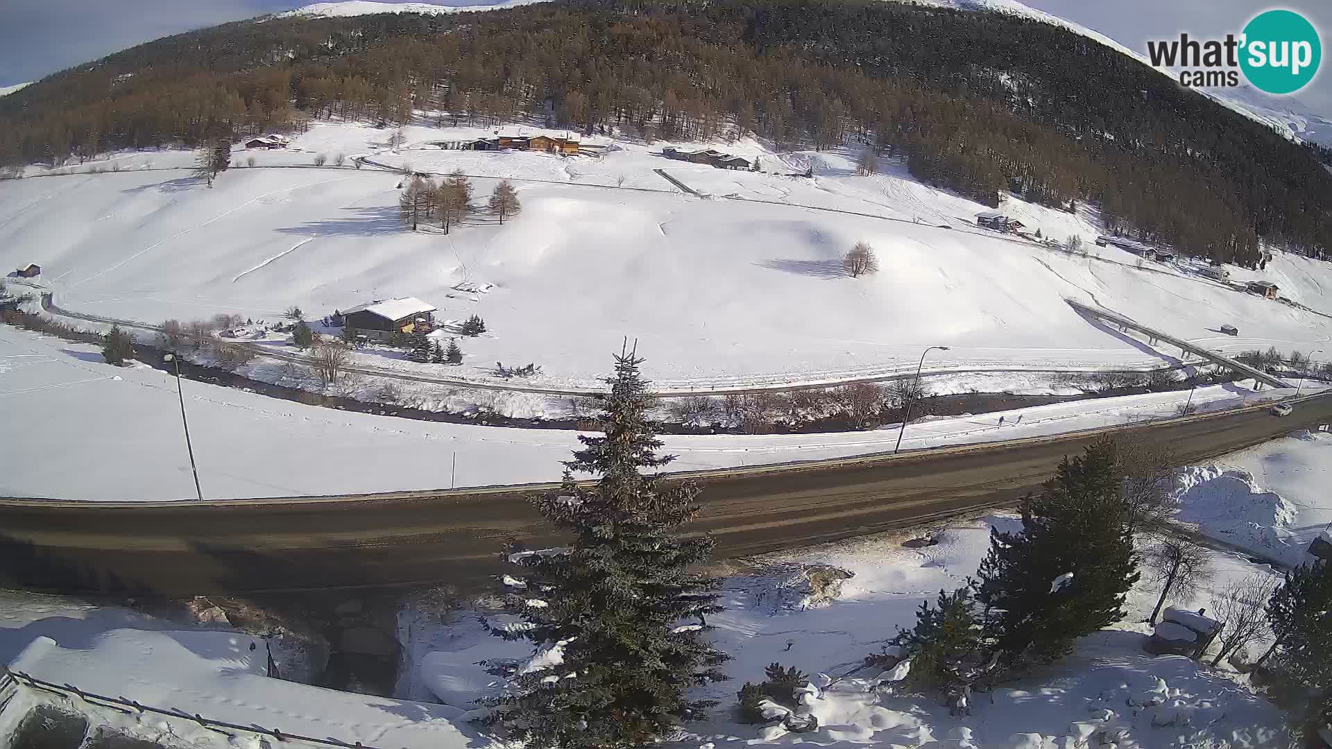 Livigno webcam LIVE Hotel Primula