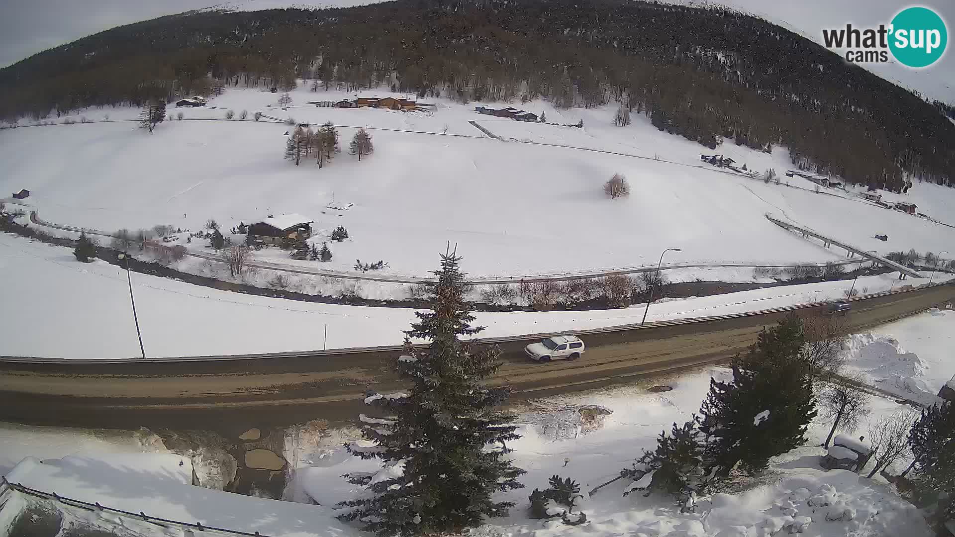 Livigno webcam LIVE Hotel Primula