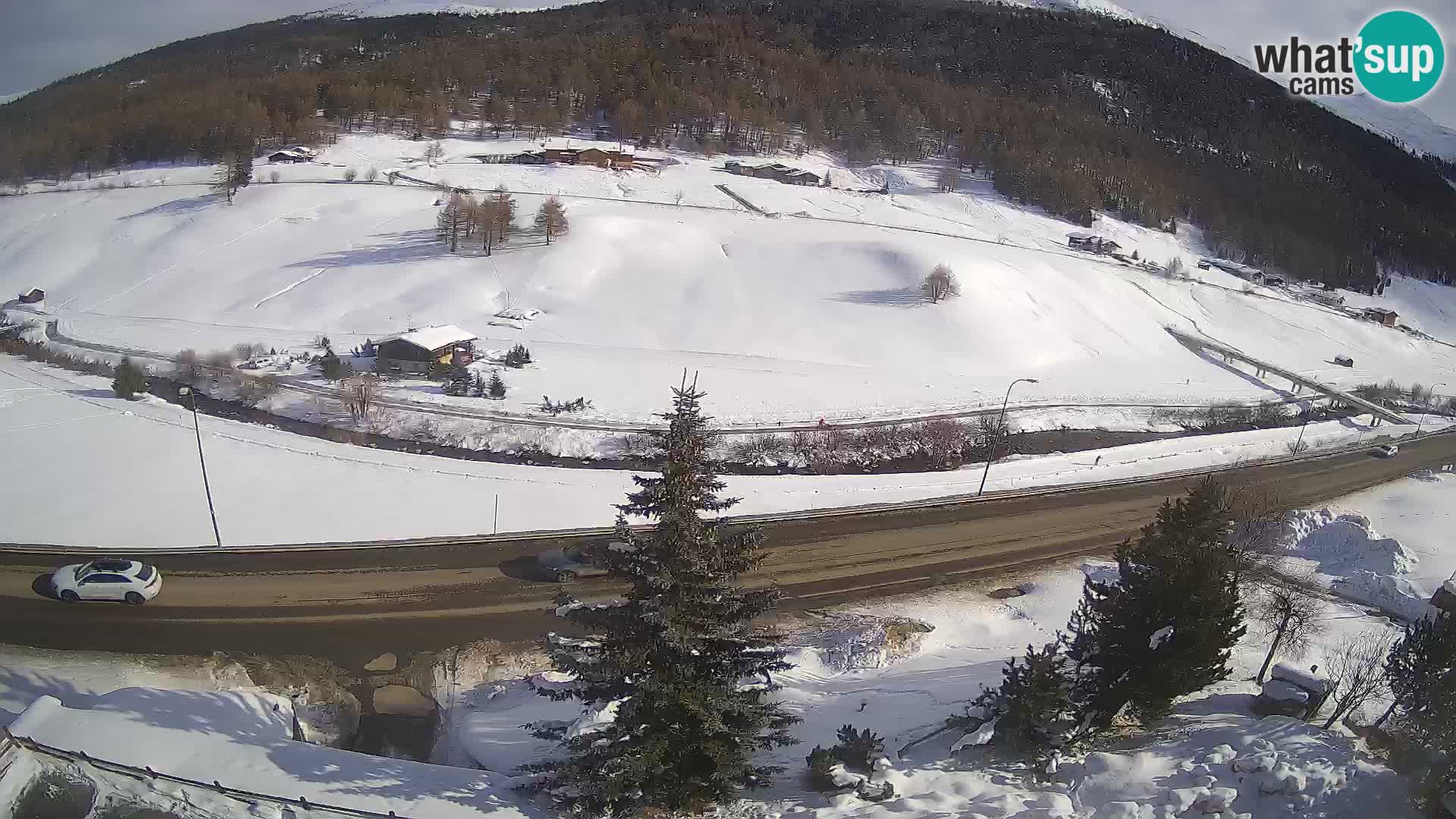 Web Cam Livigno | Hotel Primula