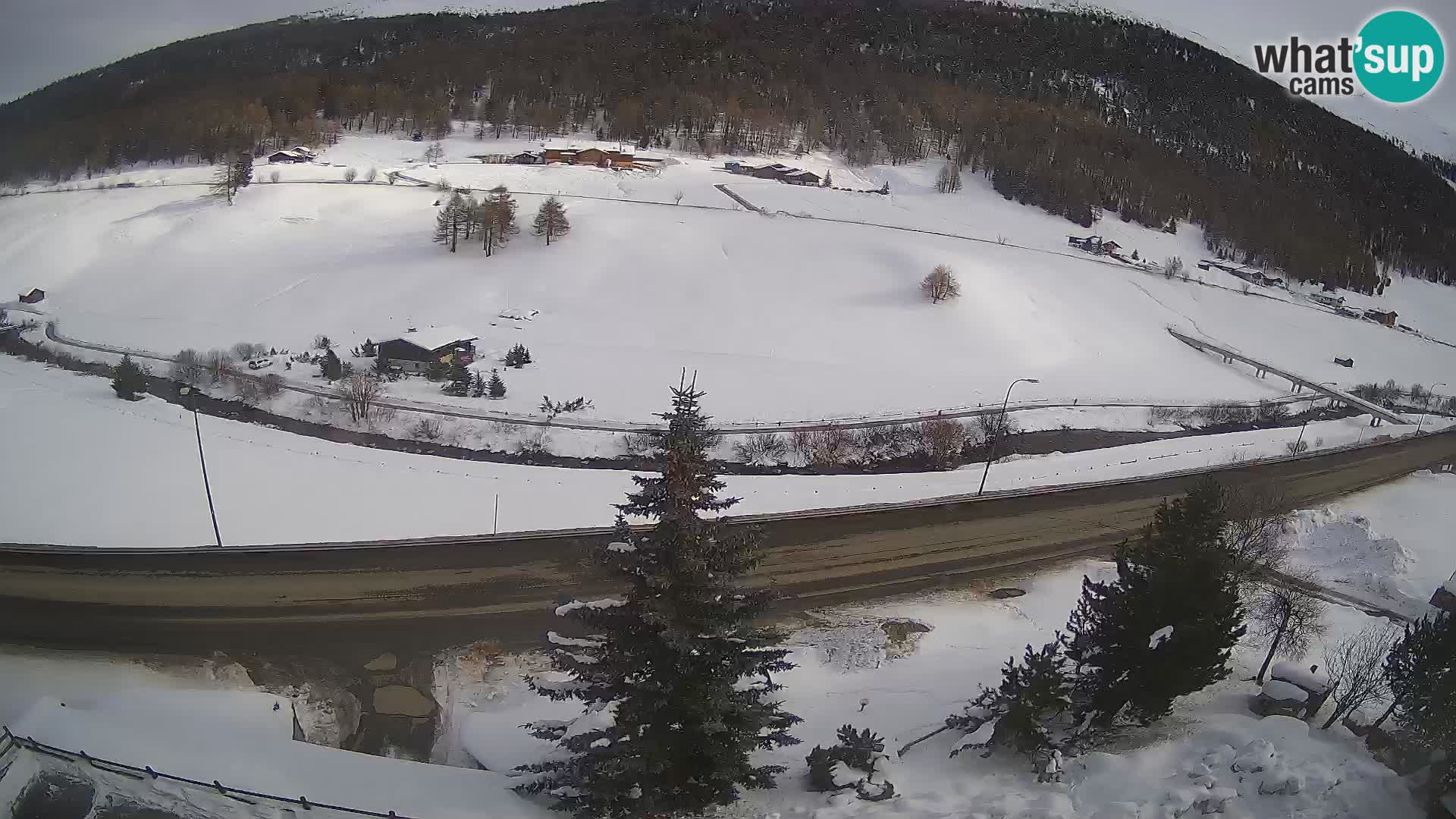 Livigno Hotel Primula webcam