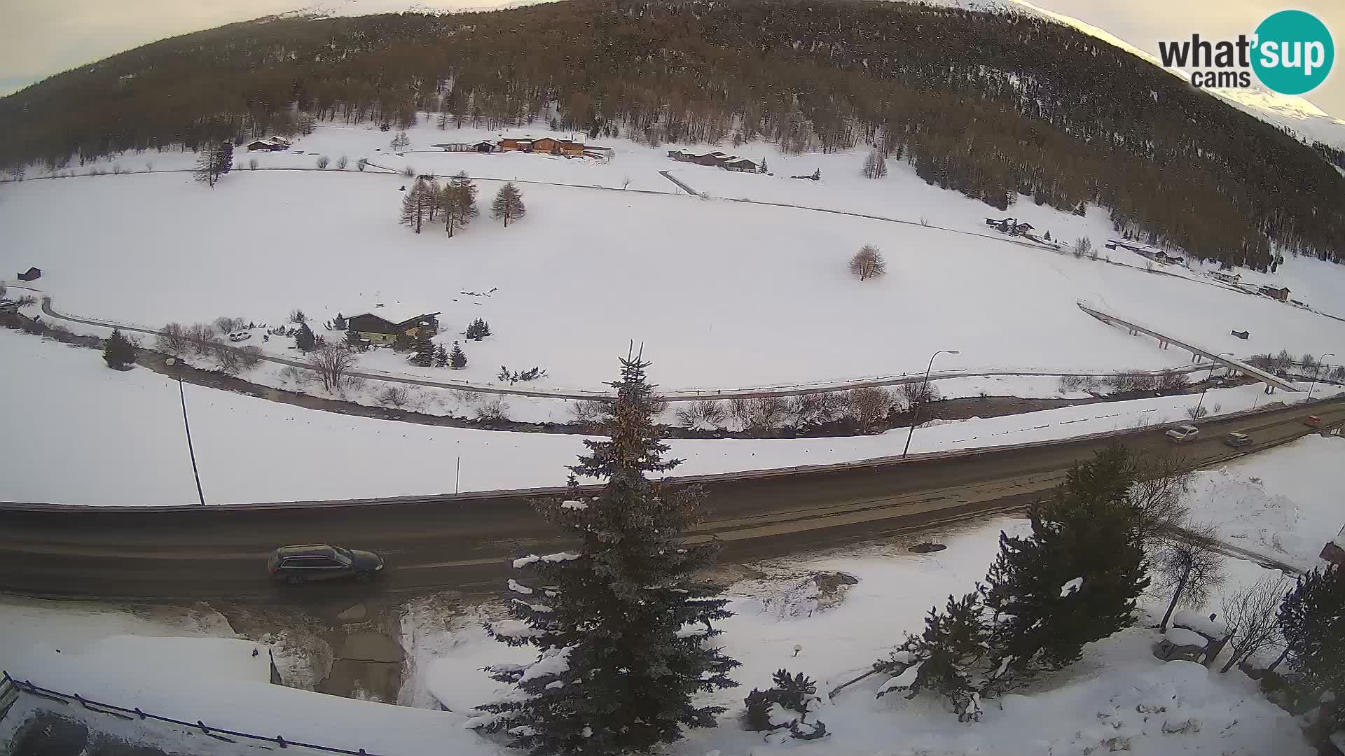 Webcam Livigno Hotel Primula