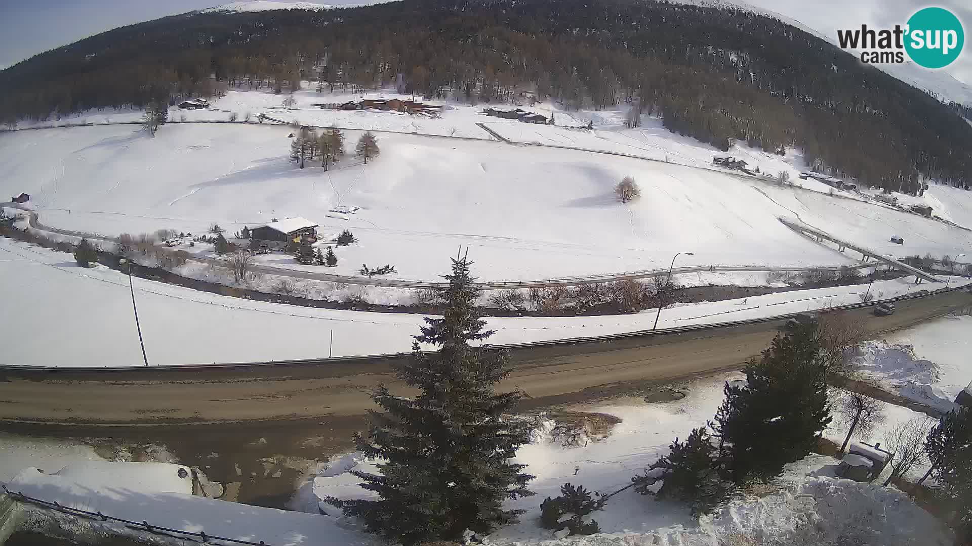 Webcam Livigno Hotel Primula