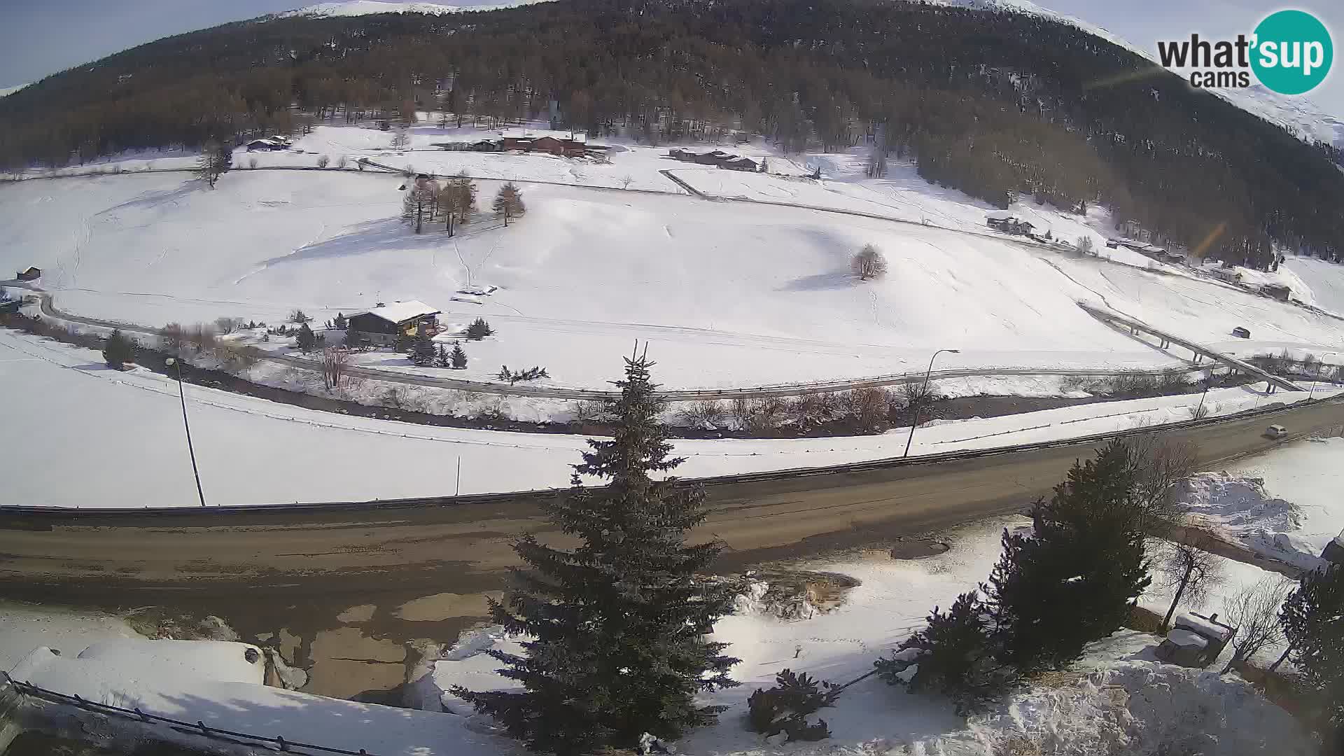 Webcam Livigno Hotel Primula