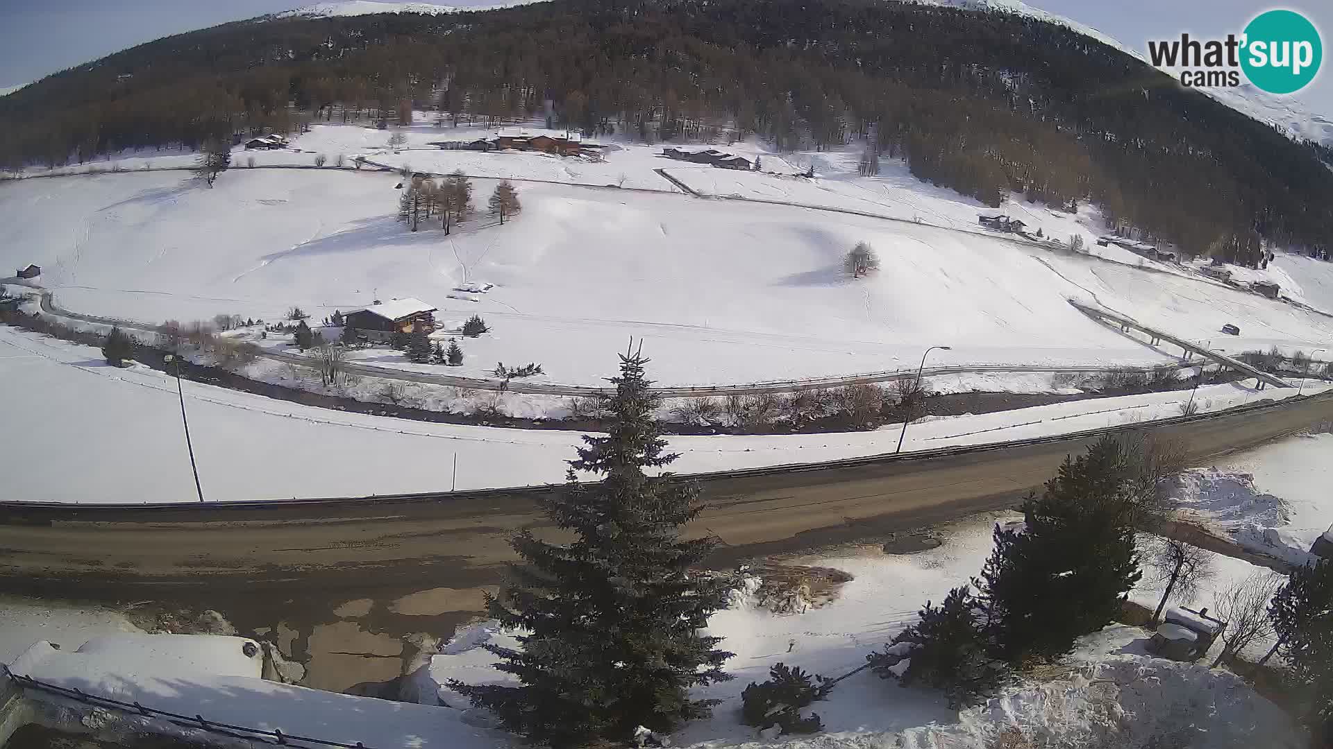 Webcam Livigno Hotel Primula