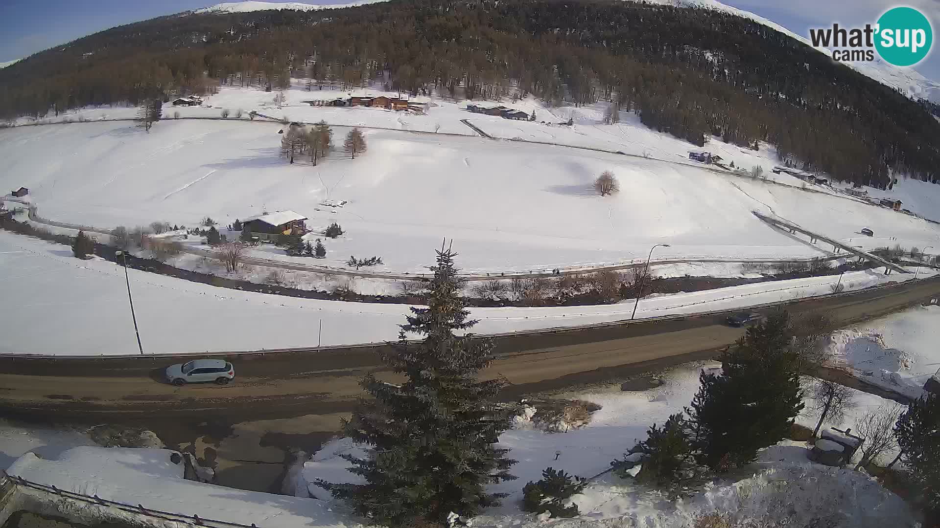 Livigno webcam LIVE Hotel Primula