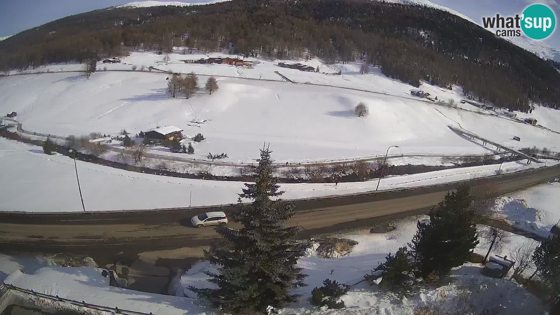 Livigno webcam LIVE Hotel Primula