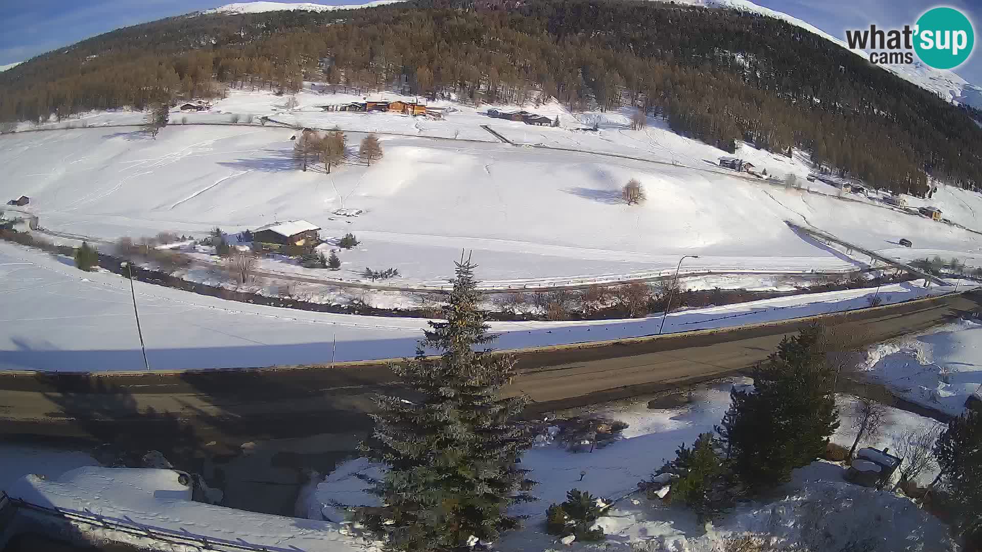 Web Cam Livigno | Hotel Primula