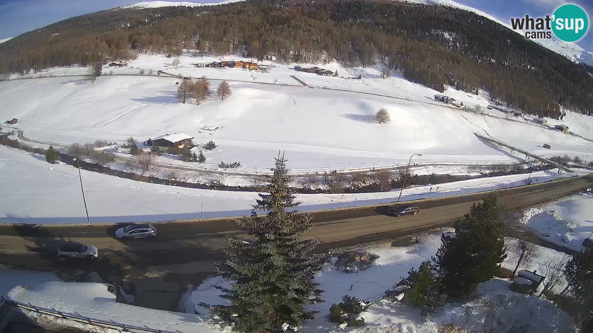 Webcam Livigno Hotel Primula