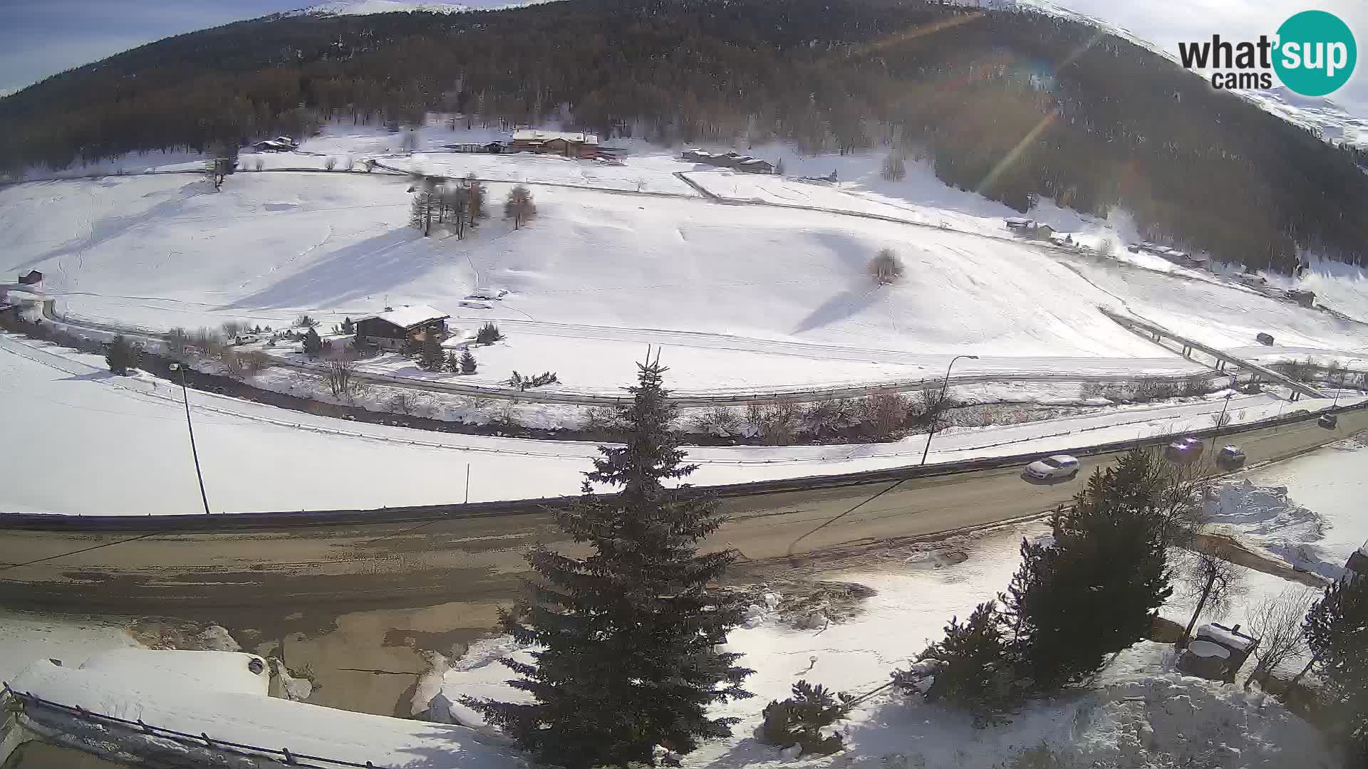 Webcam Livigno Hotel Primula