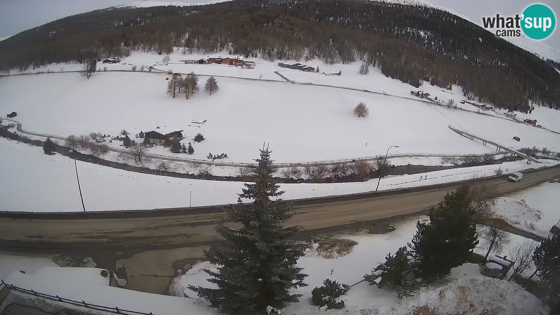 Livigno Hotel Primula webcam