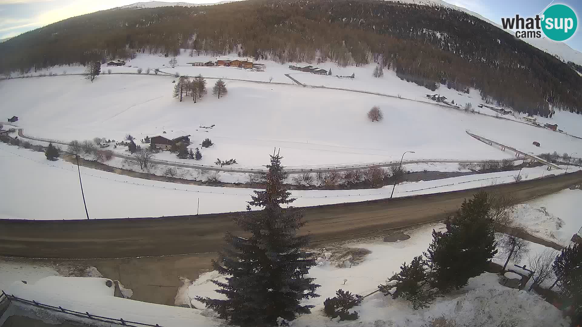 Web Cam Livigno | Hotel Primula