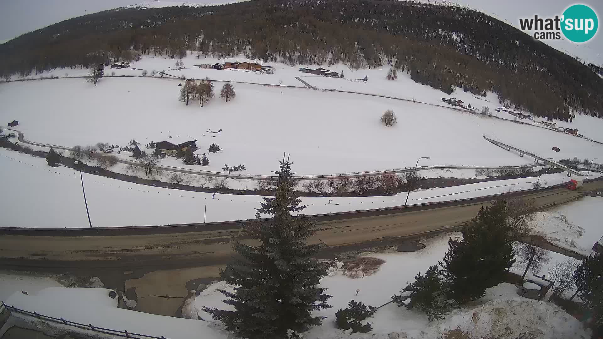 Livigno webcam LIVE Hotel Primula